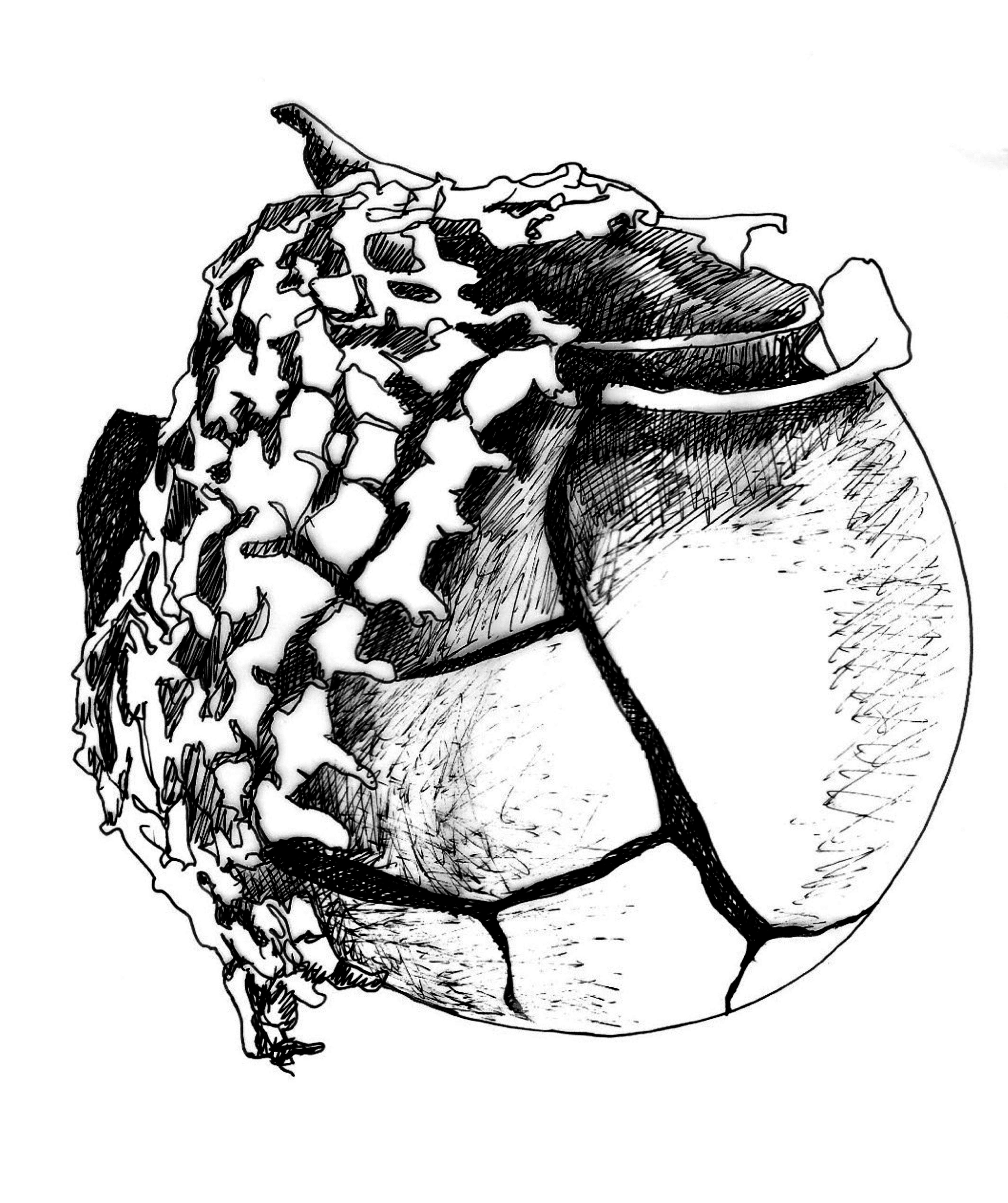 sketch of a broken pot