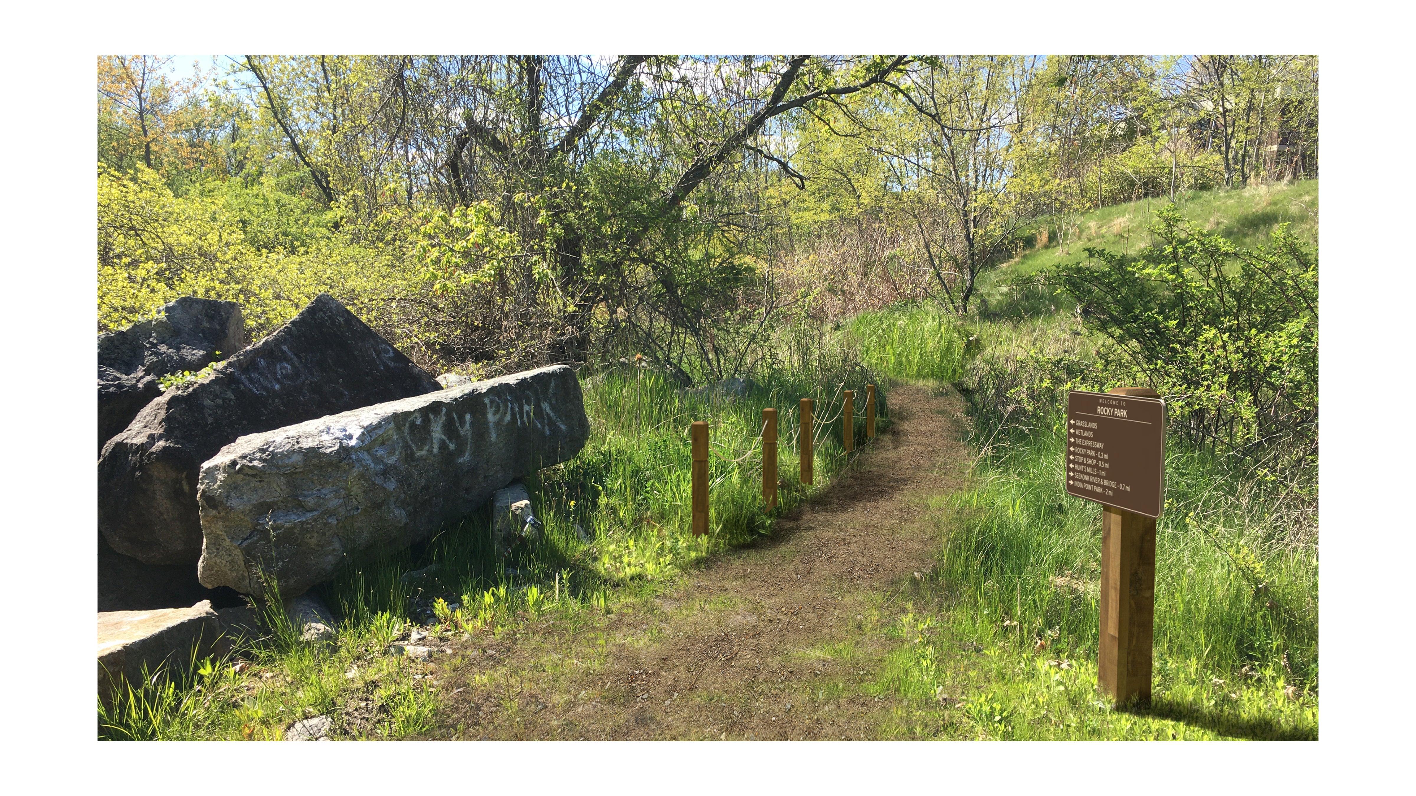 Landscape Rendering 1