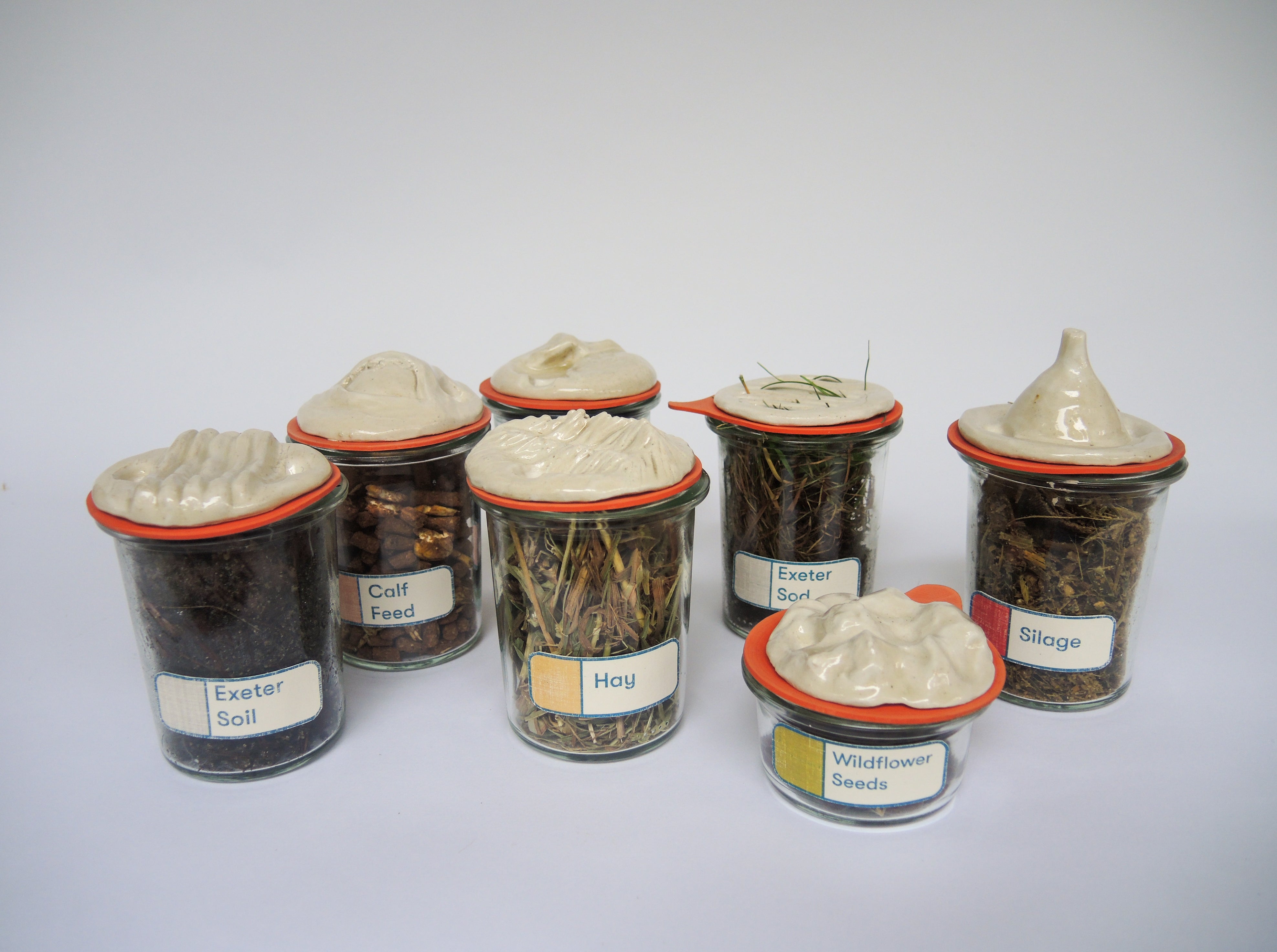 specimens
