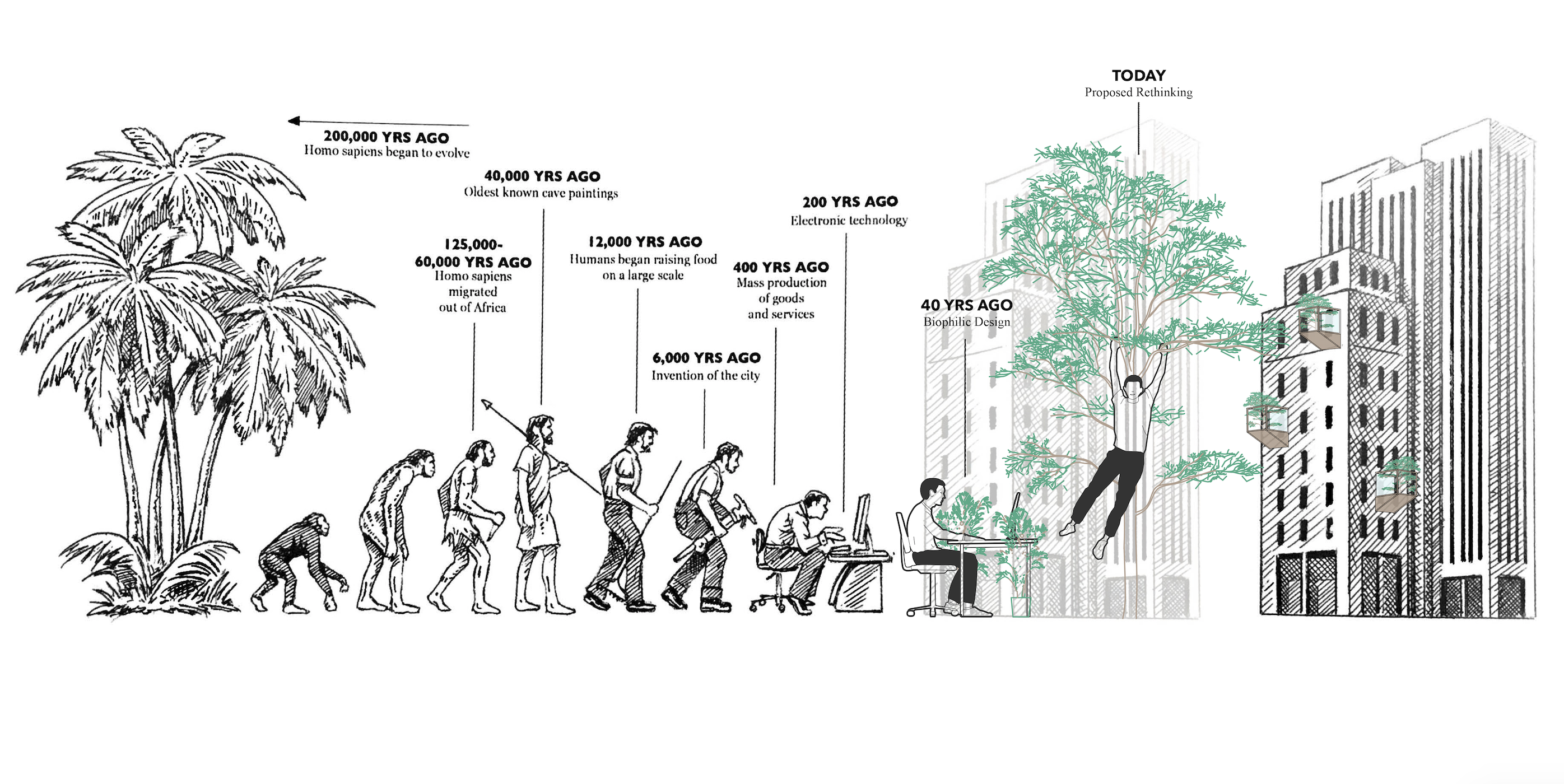 Proposed Rethinking