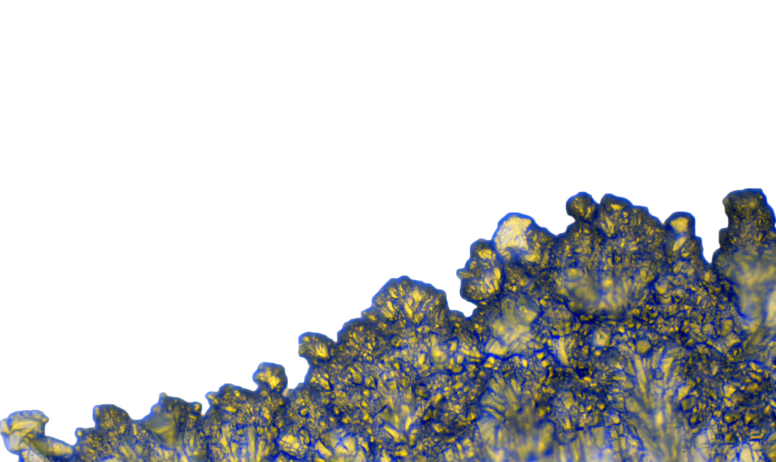 Salt under the microscope