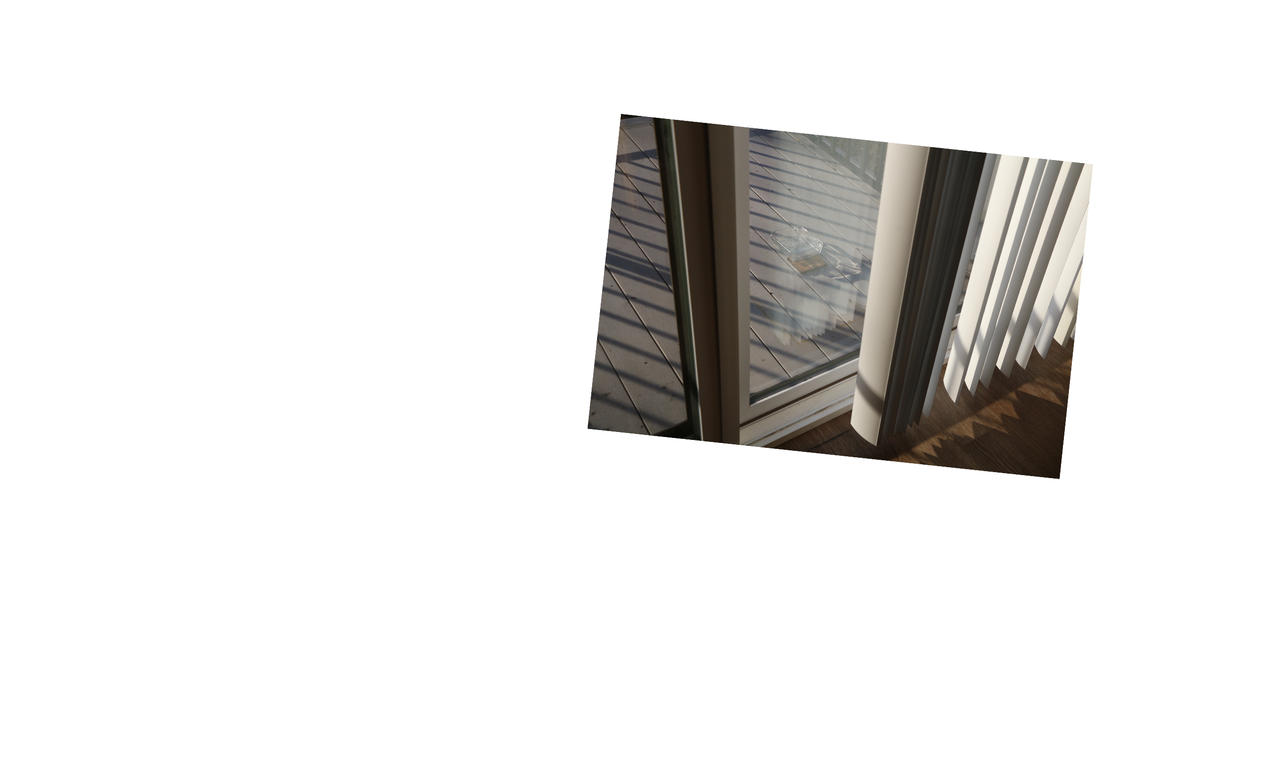 salt1