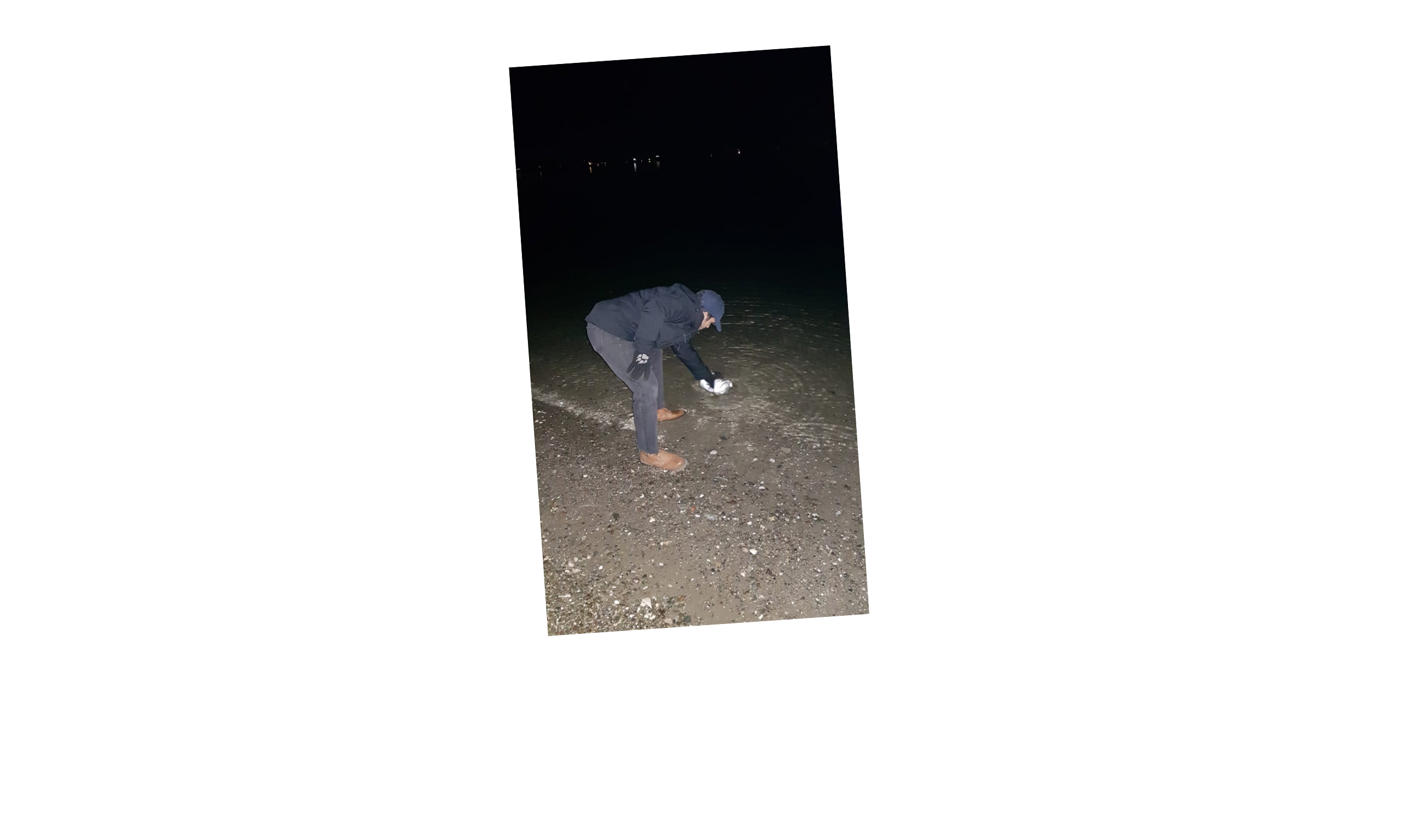 Sea water collect