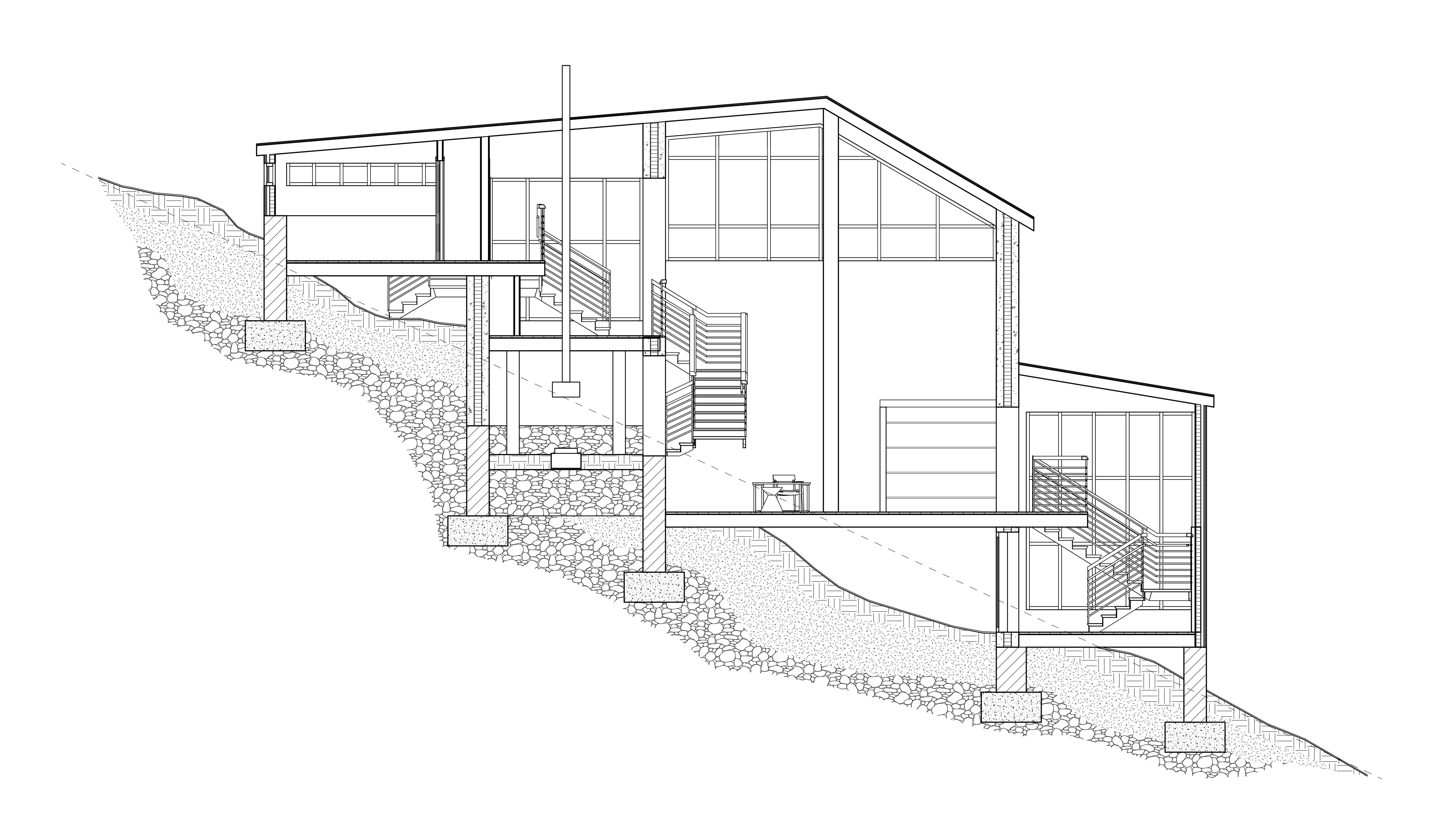 Longitudinal Section