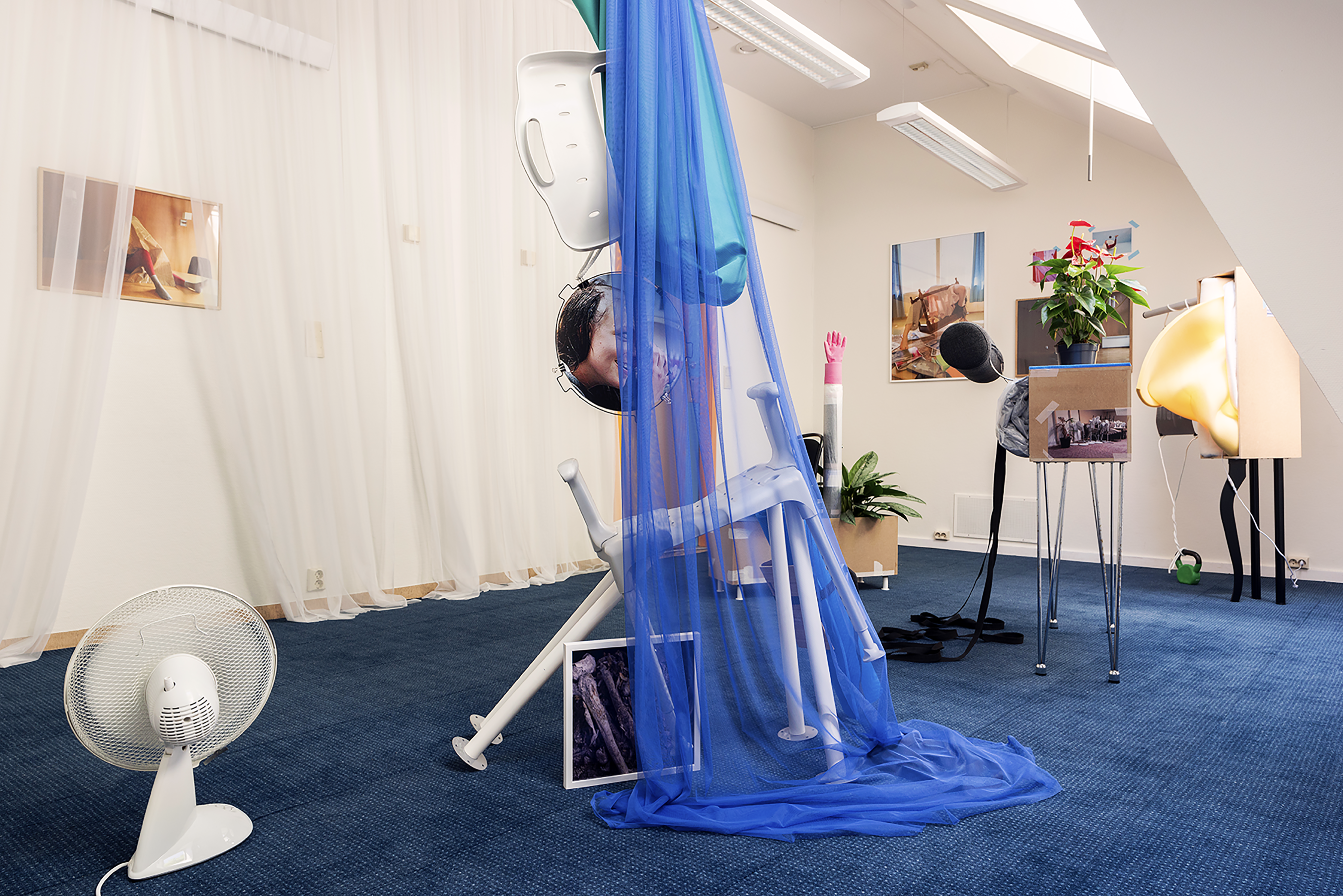 Image of installation 