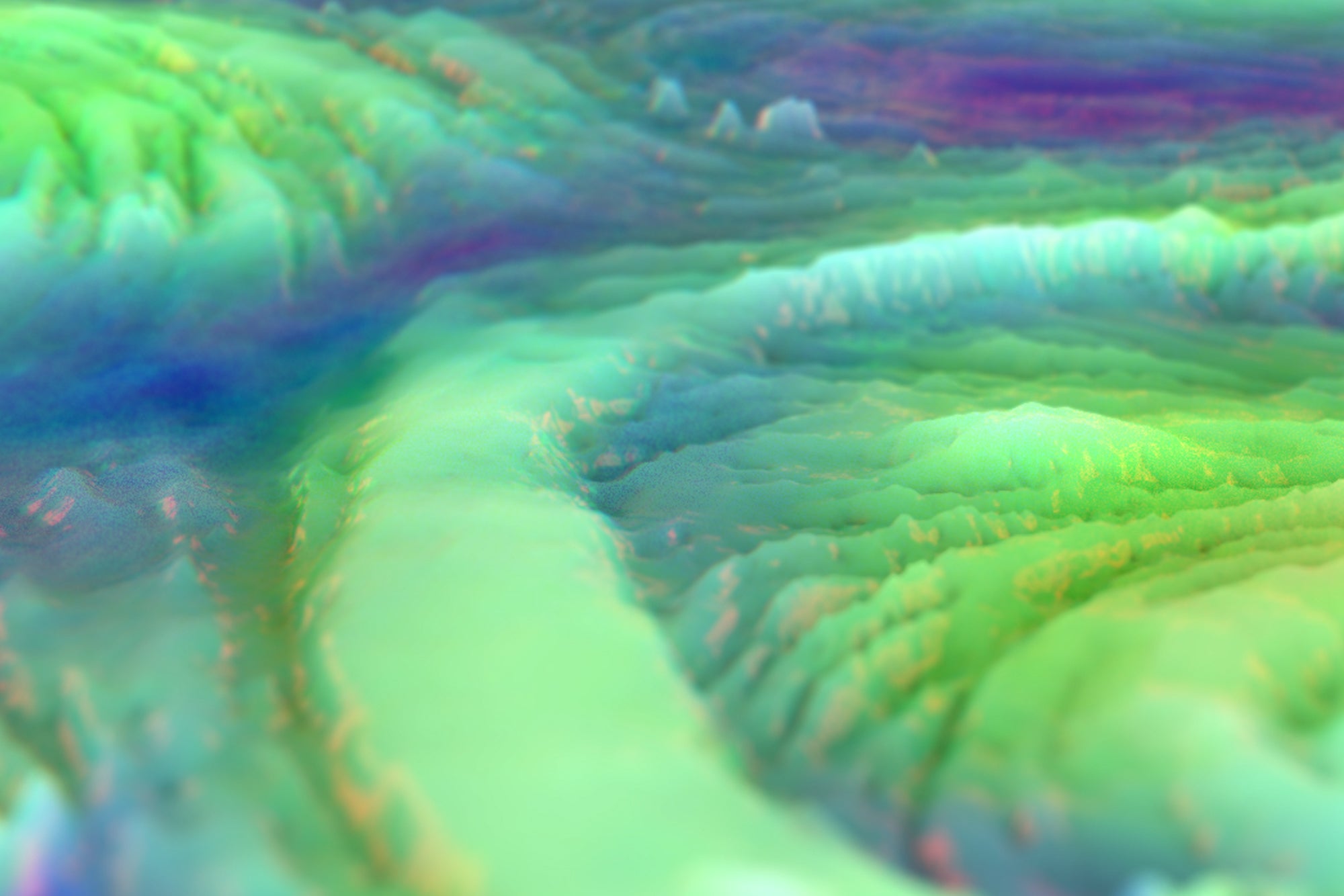 Film / Animation / Video