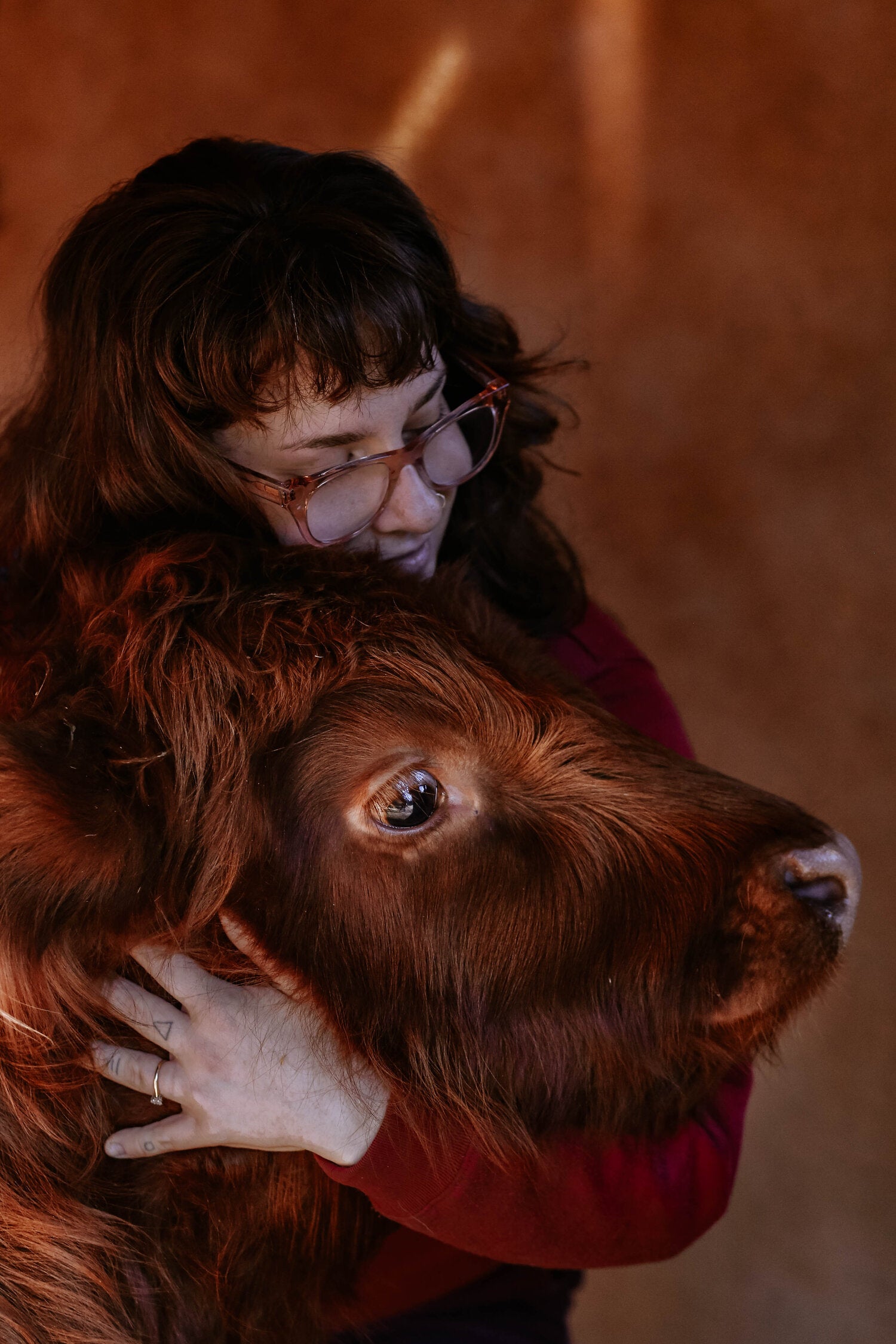 friend and horse