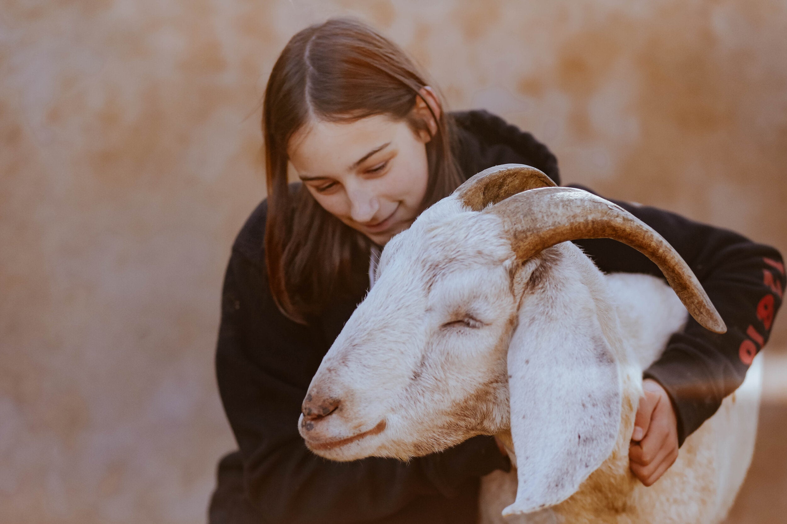 friend and sheep