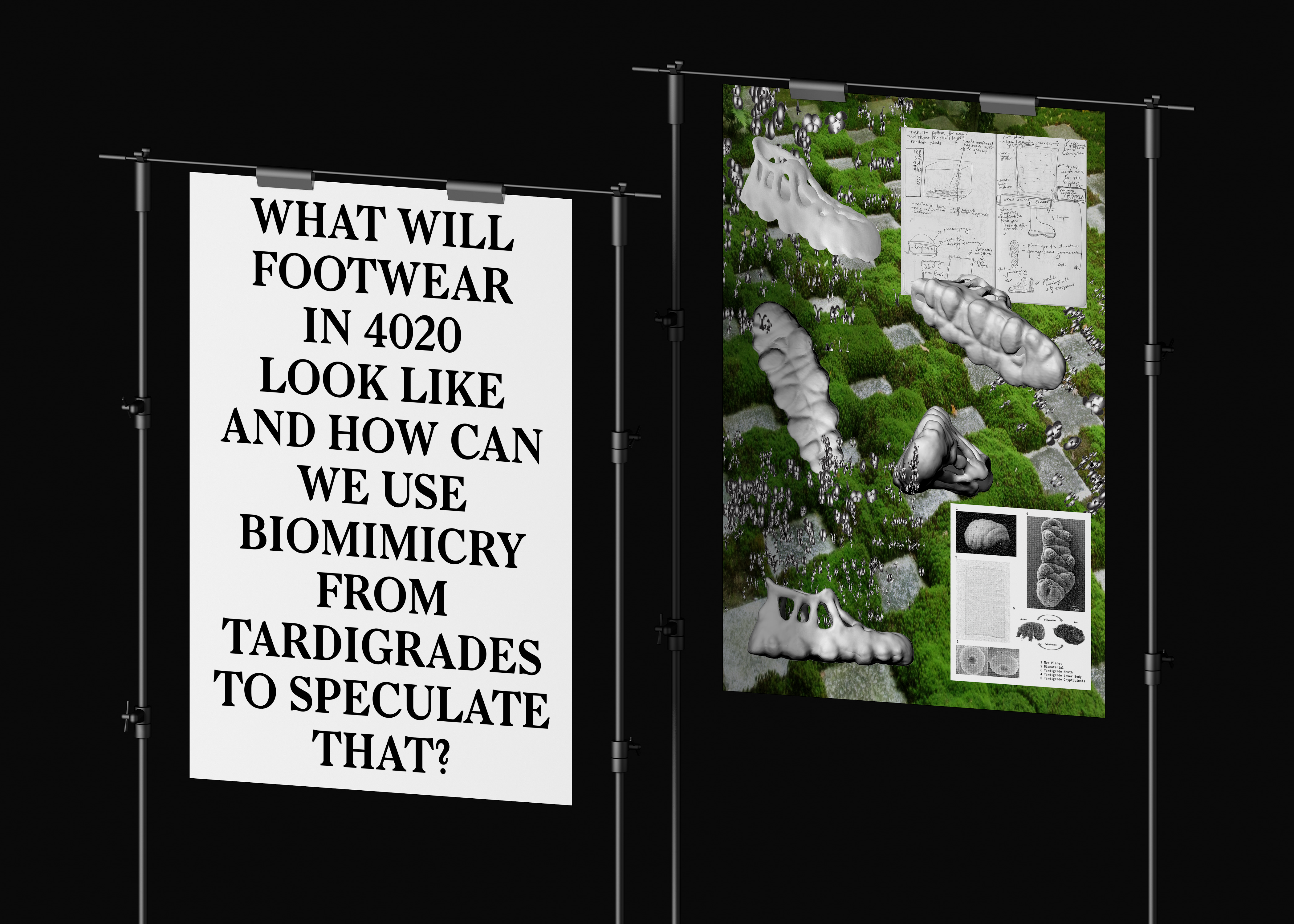 Posters about the future of footwear with the text 'What will footwear in 4020 look like and how can we use biomimicry from Tardigrades to speculate that?'