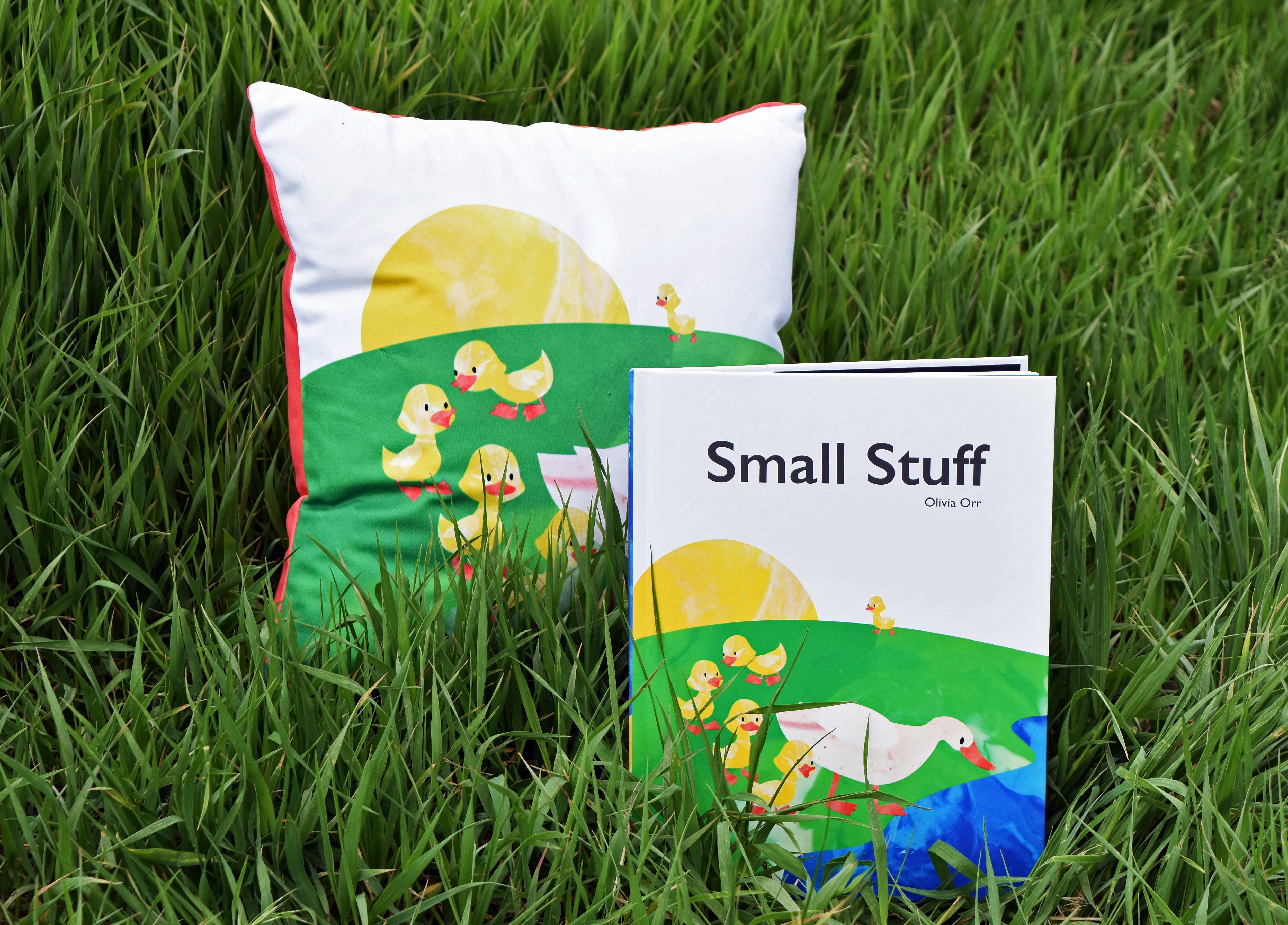 An illustrated pillow and book cover with the title 'Small Stuff' in a grassy field