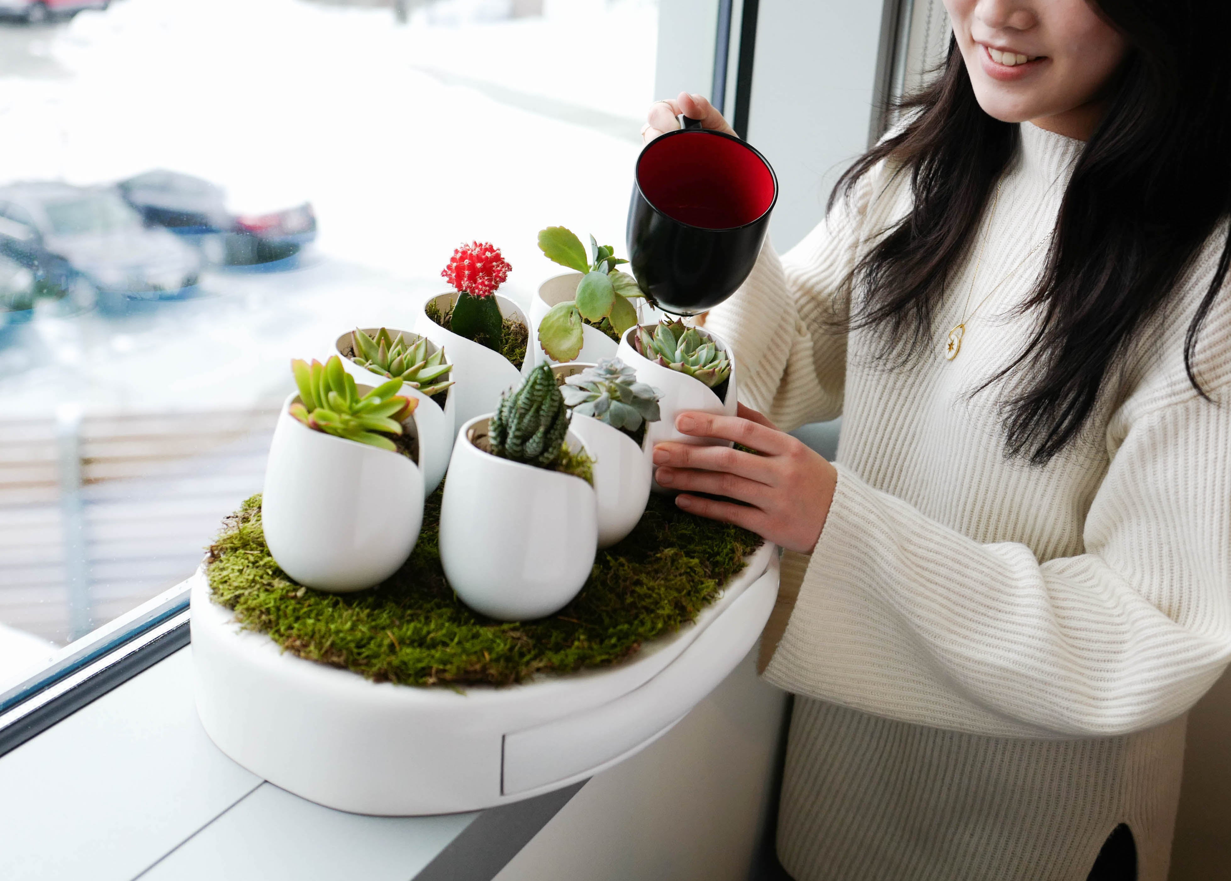 Industrial Design project by Alice Kim