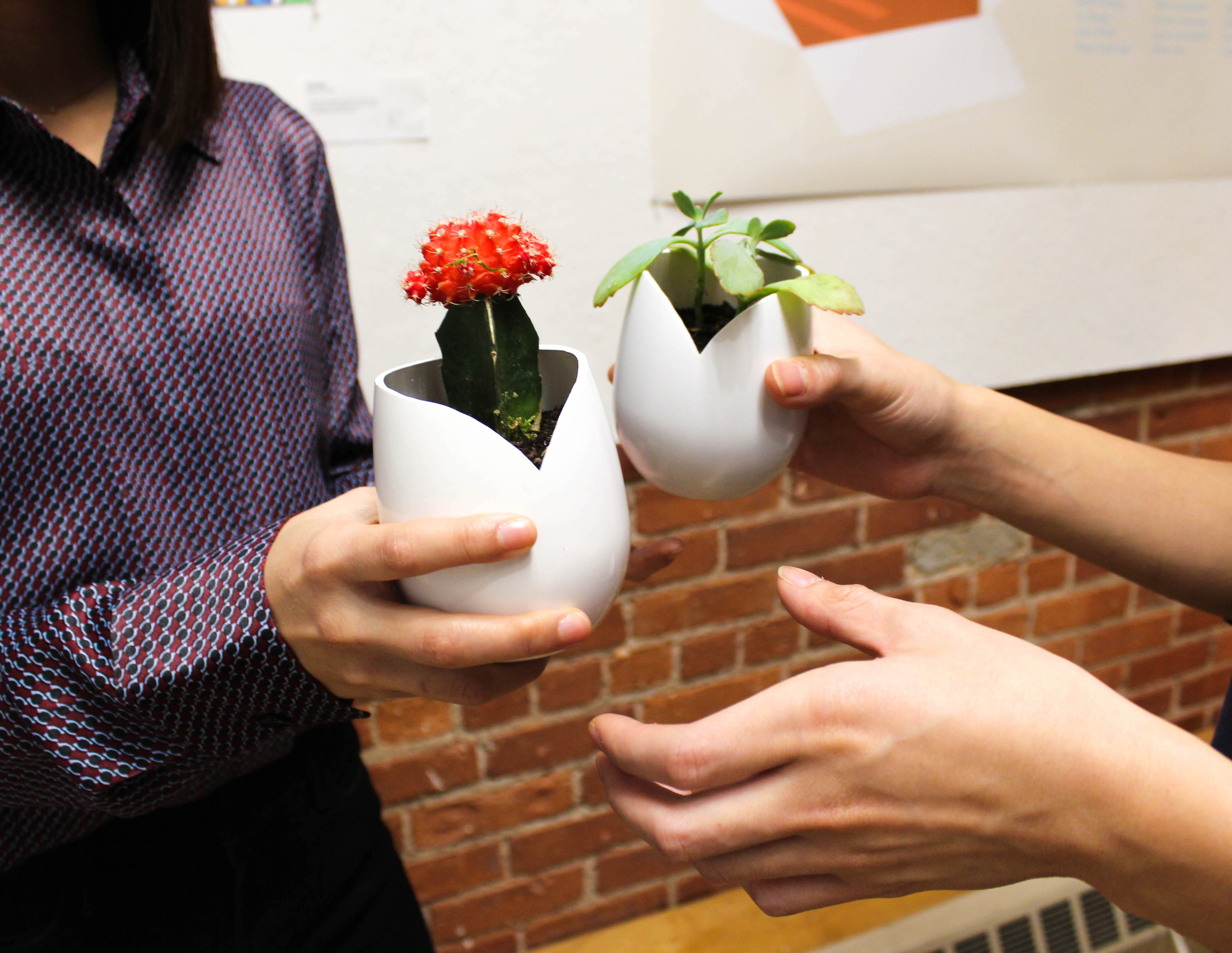 Industrial Design project by Alice Kim