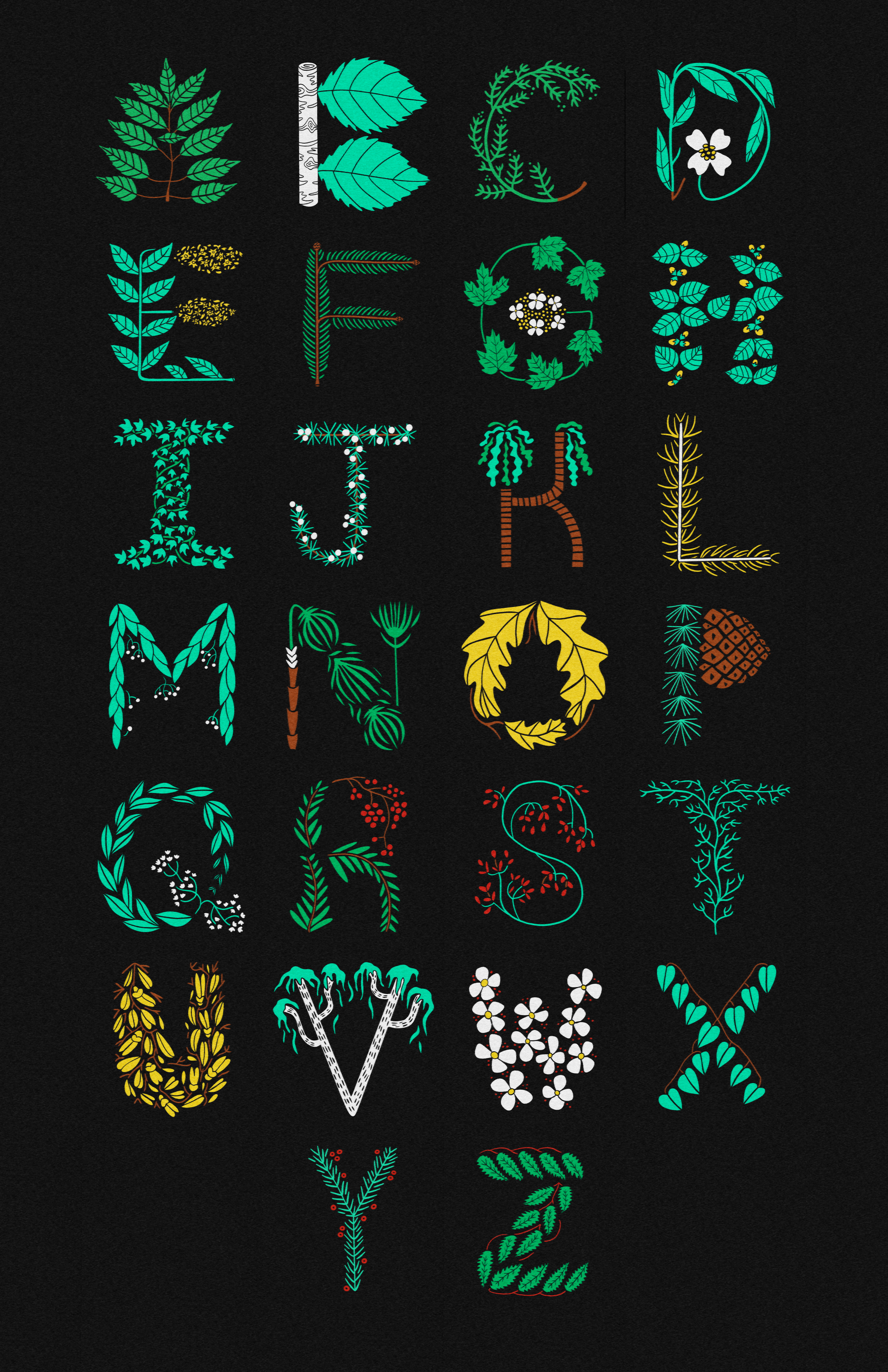 celtic tree alphabet