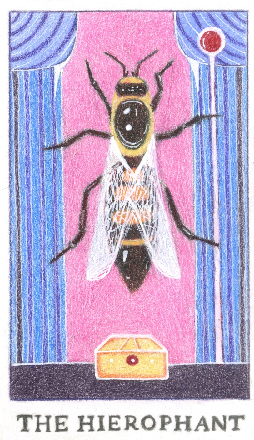 Illustration