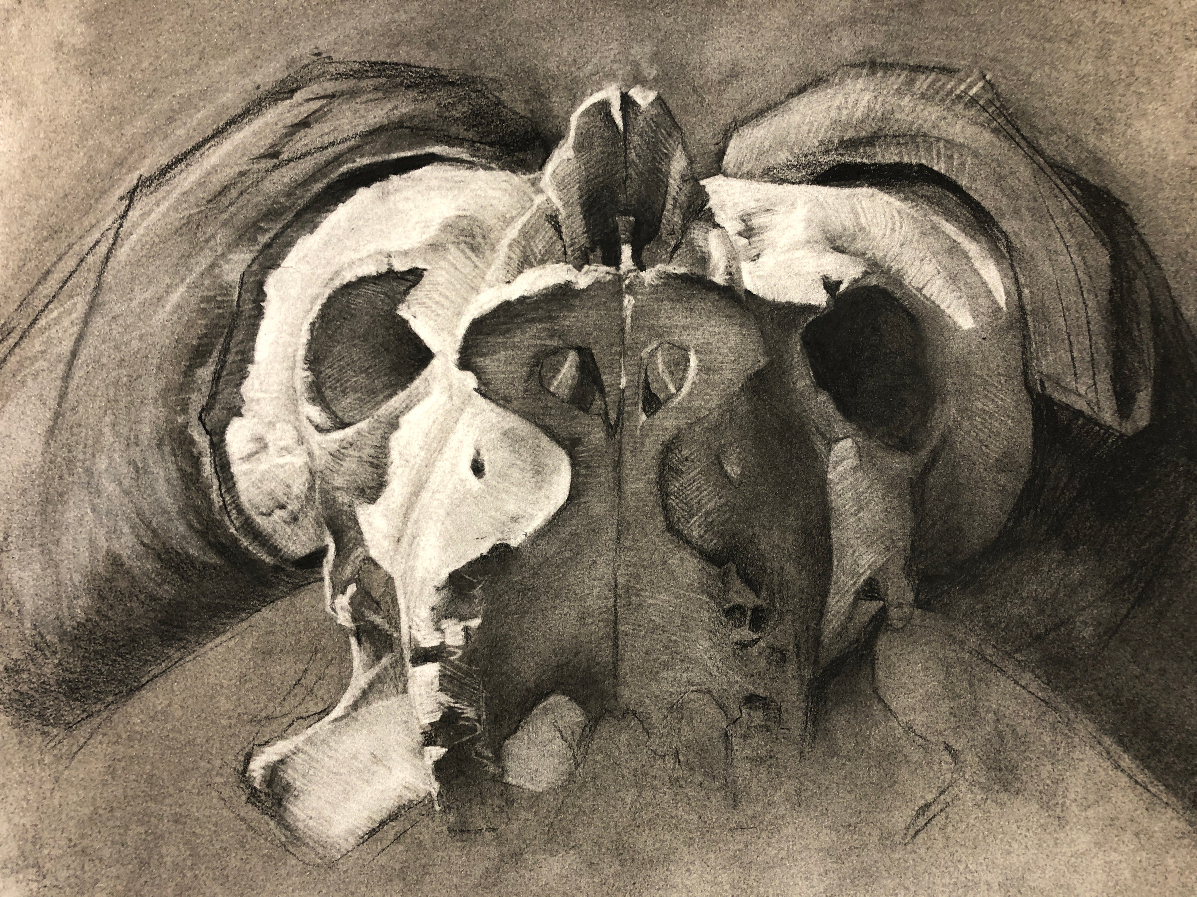 Illustration project by Laura O'Bannon