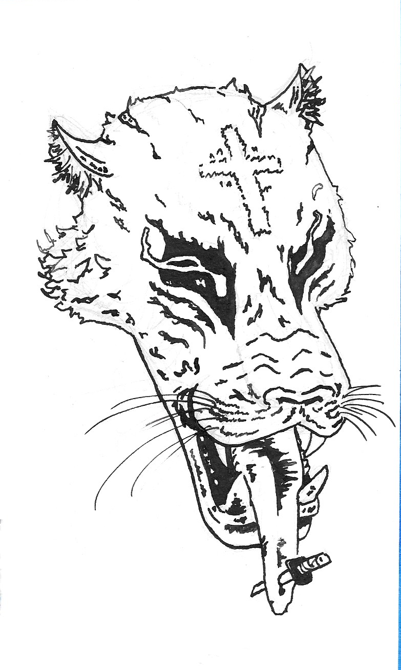 illustration