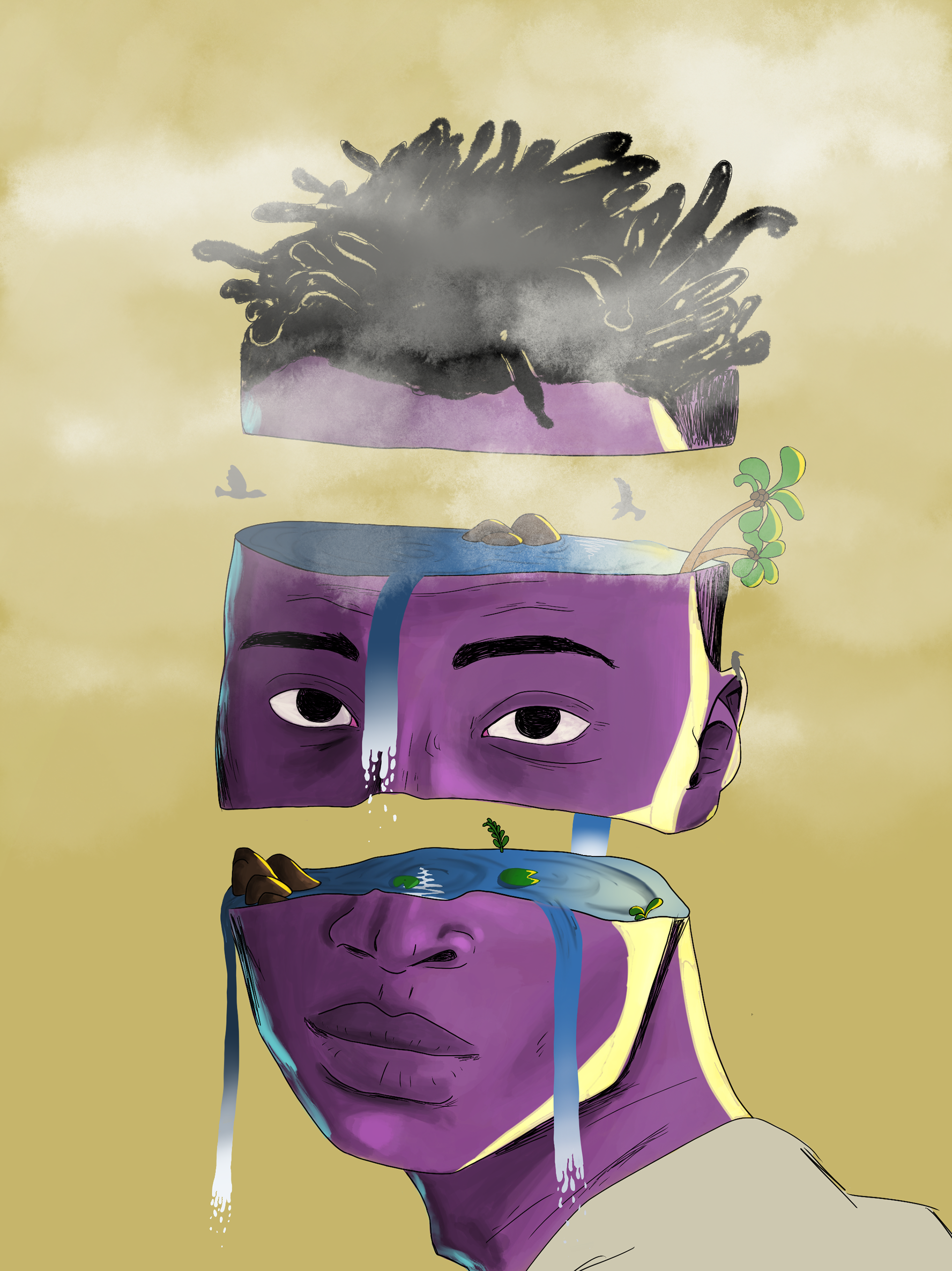 illustration