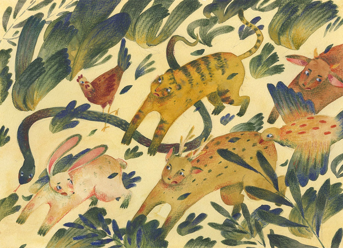 illustration