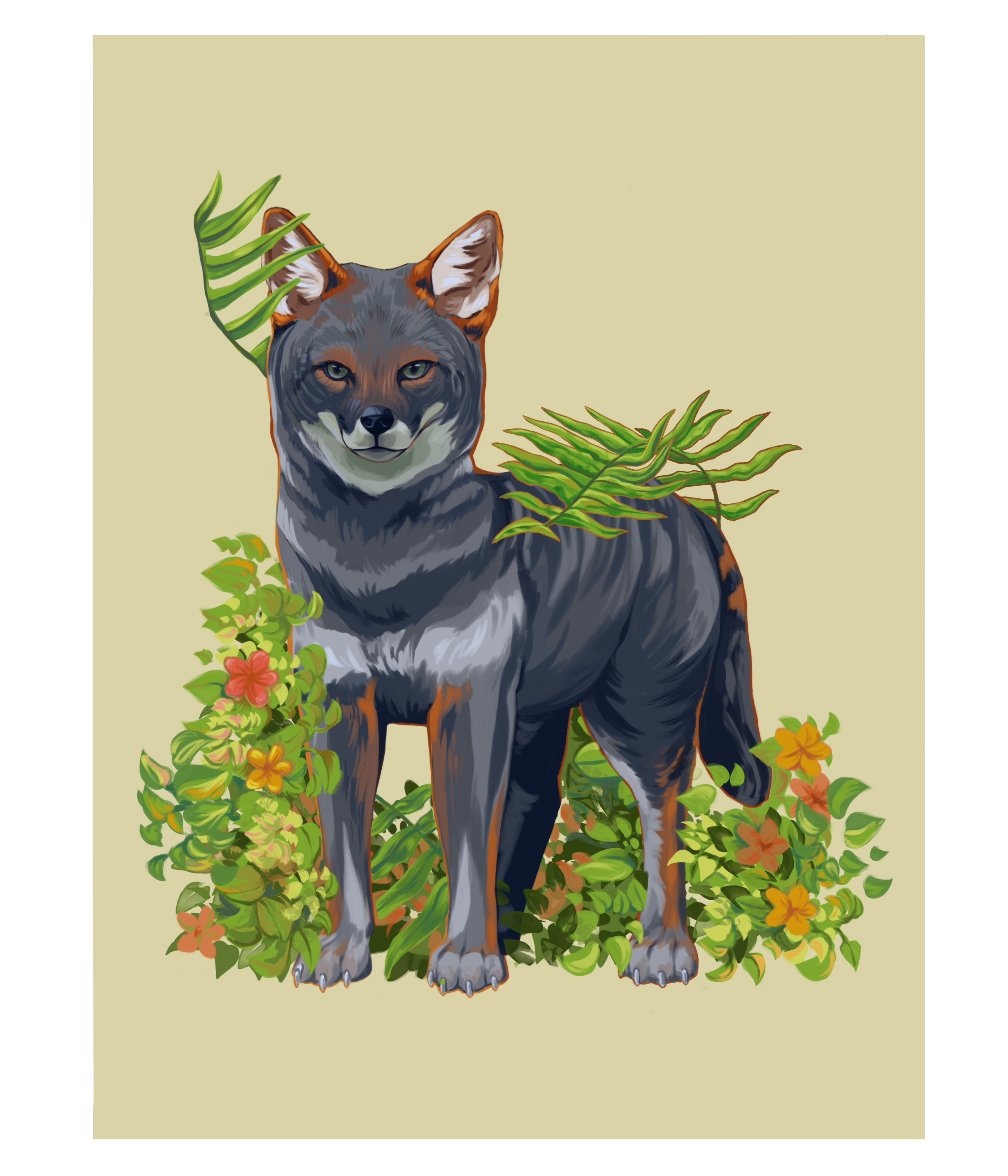 Illustration