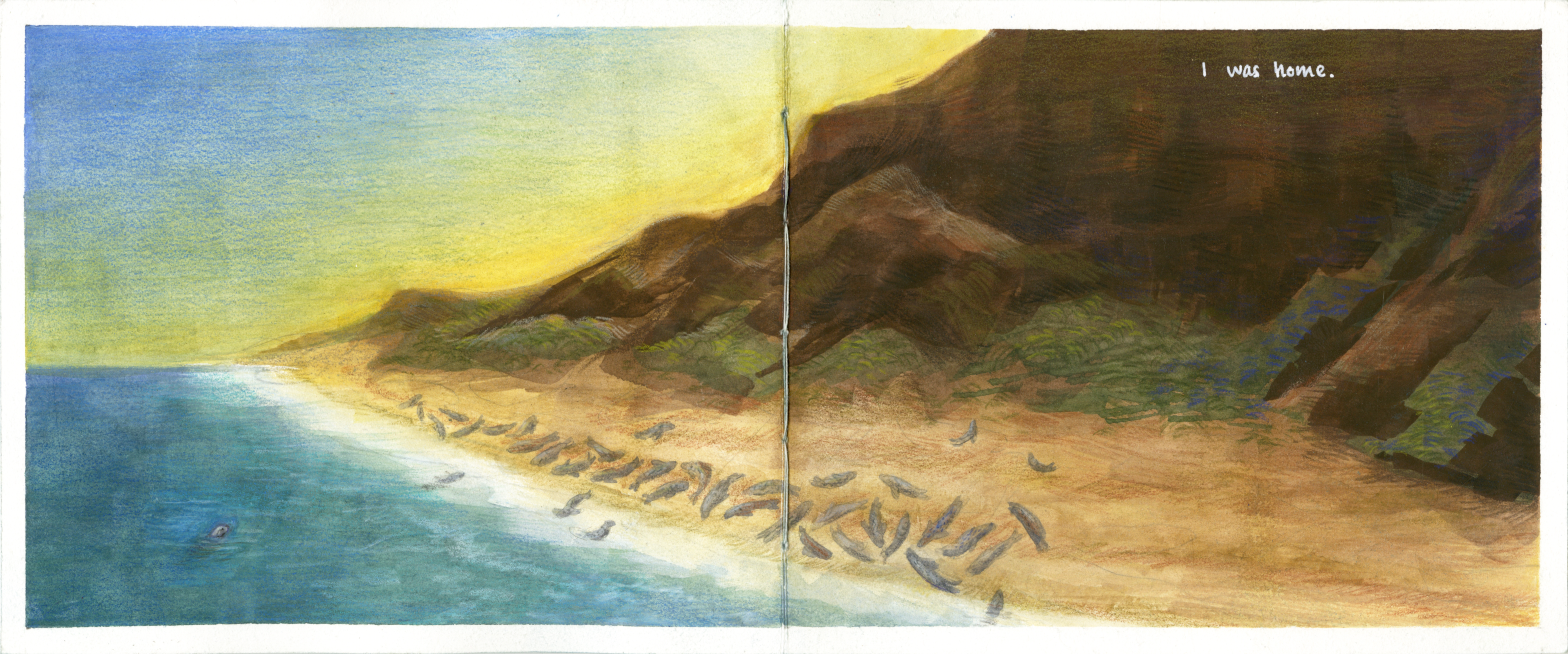 Illustration