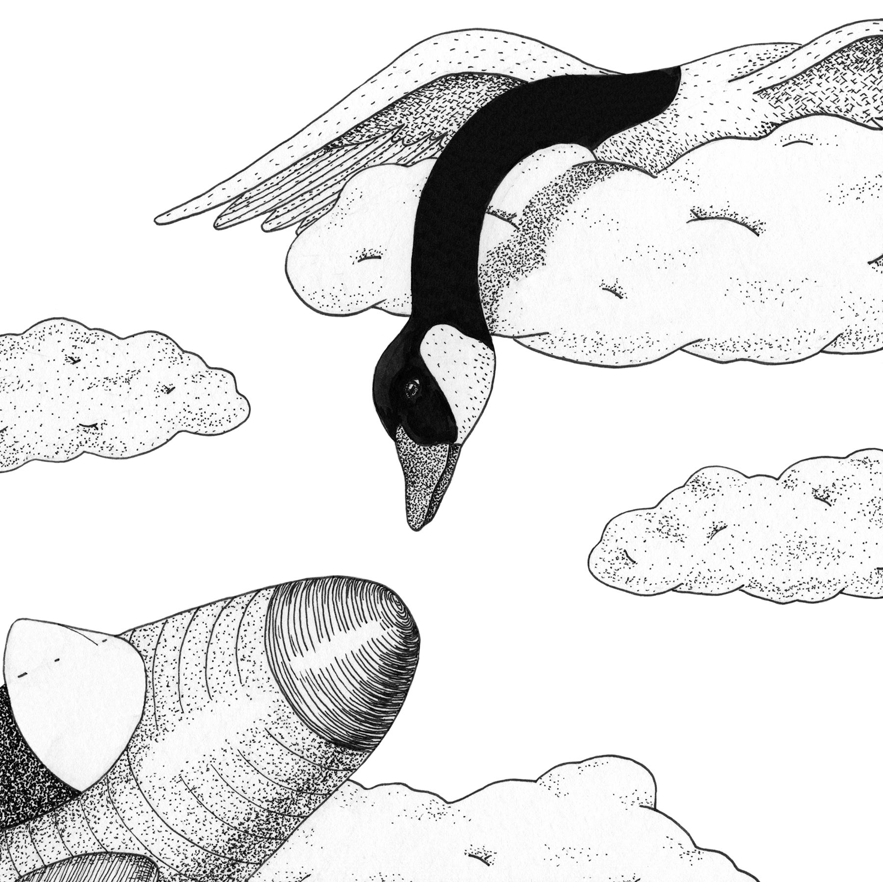 Illustration project by Amanda Booth