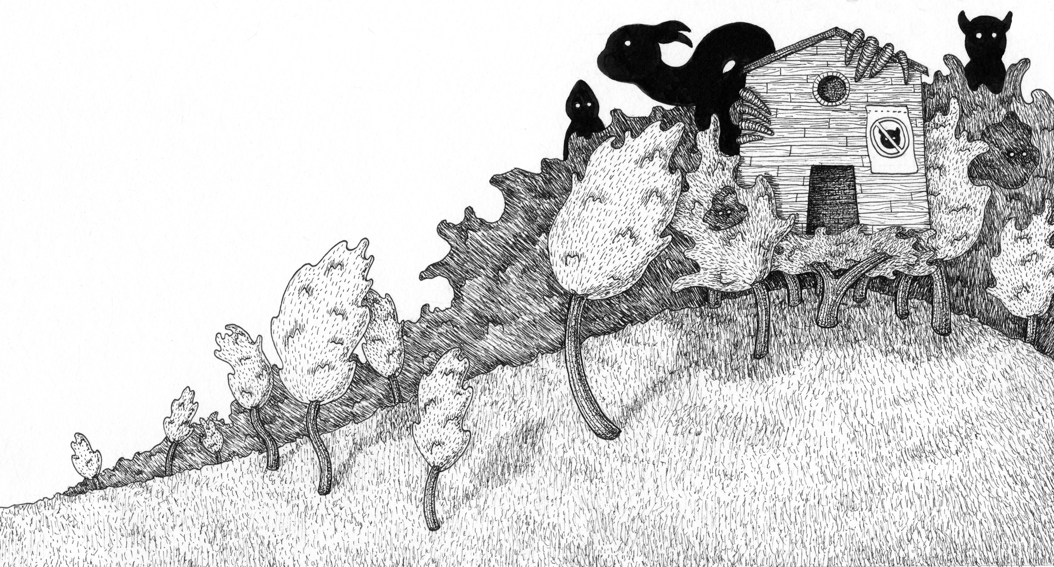 Illustration project by Amanda Booth