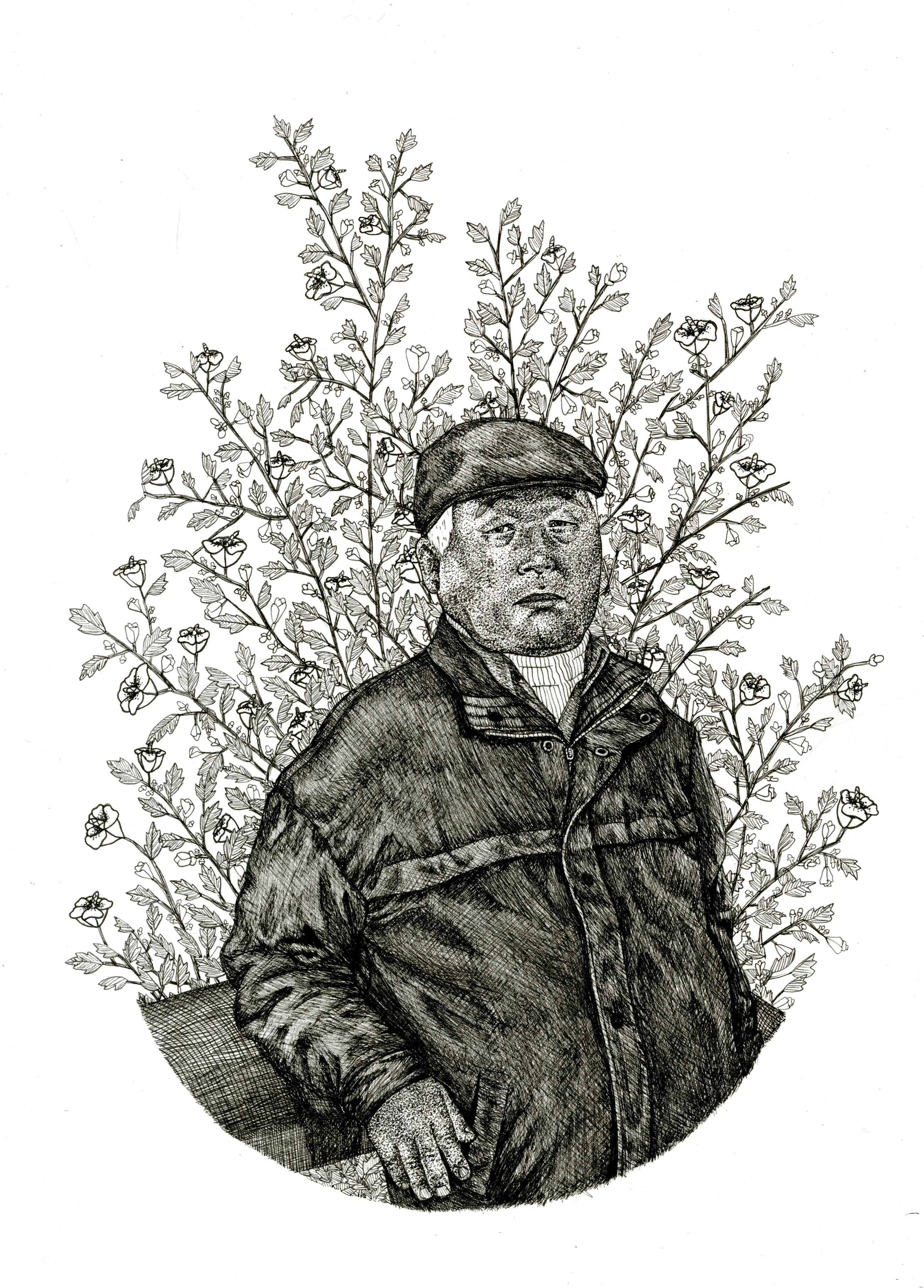 Illustration project by Amanda Booth