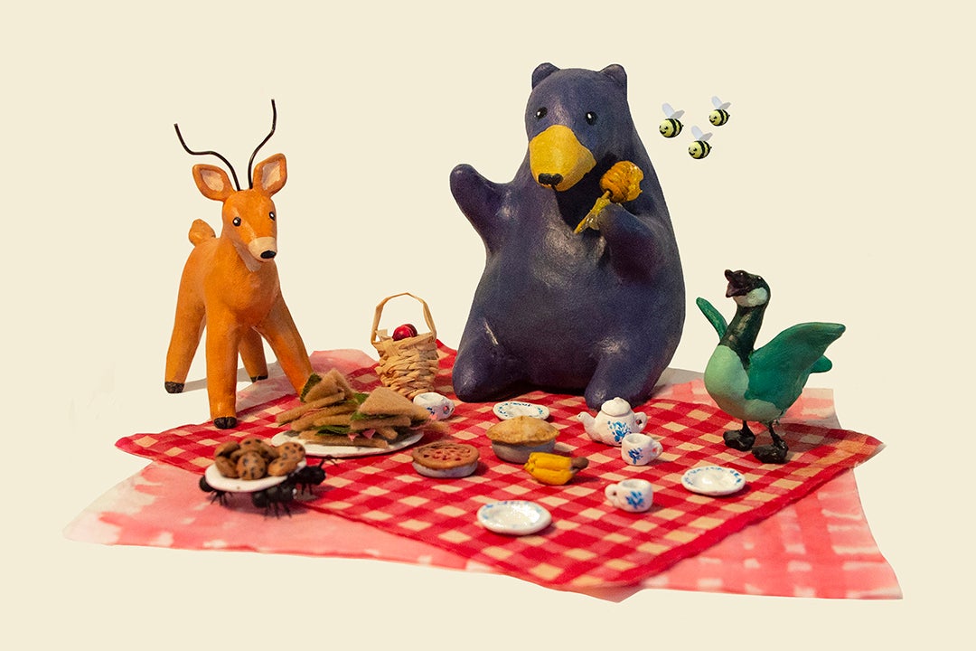 Illustration project by Ceili Conway