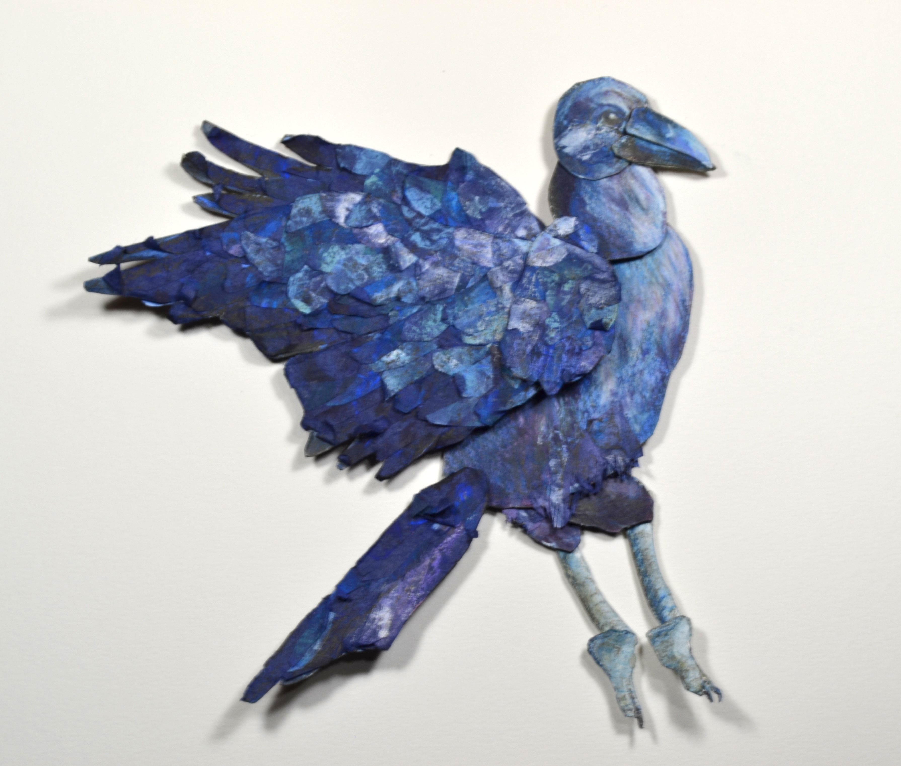 Illustration project by Sue Farfan