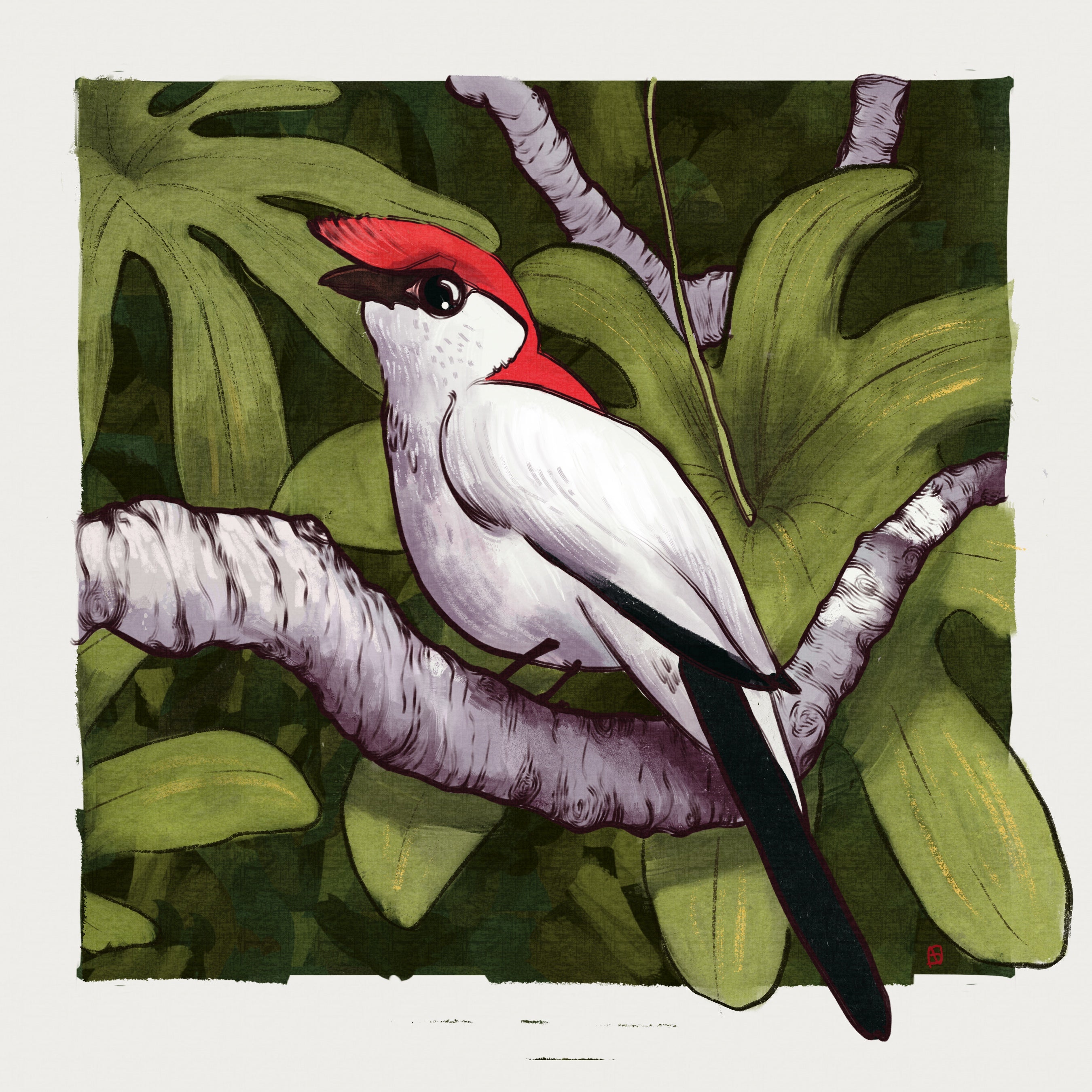 Illustration