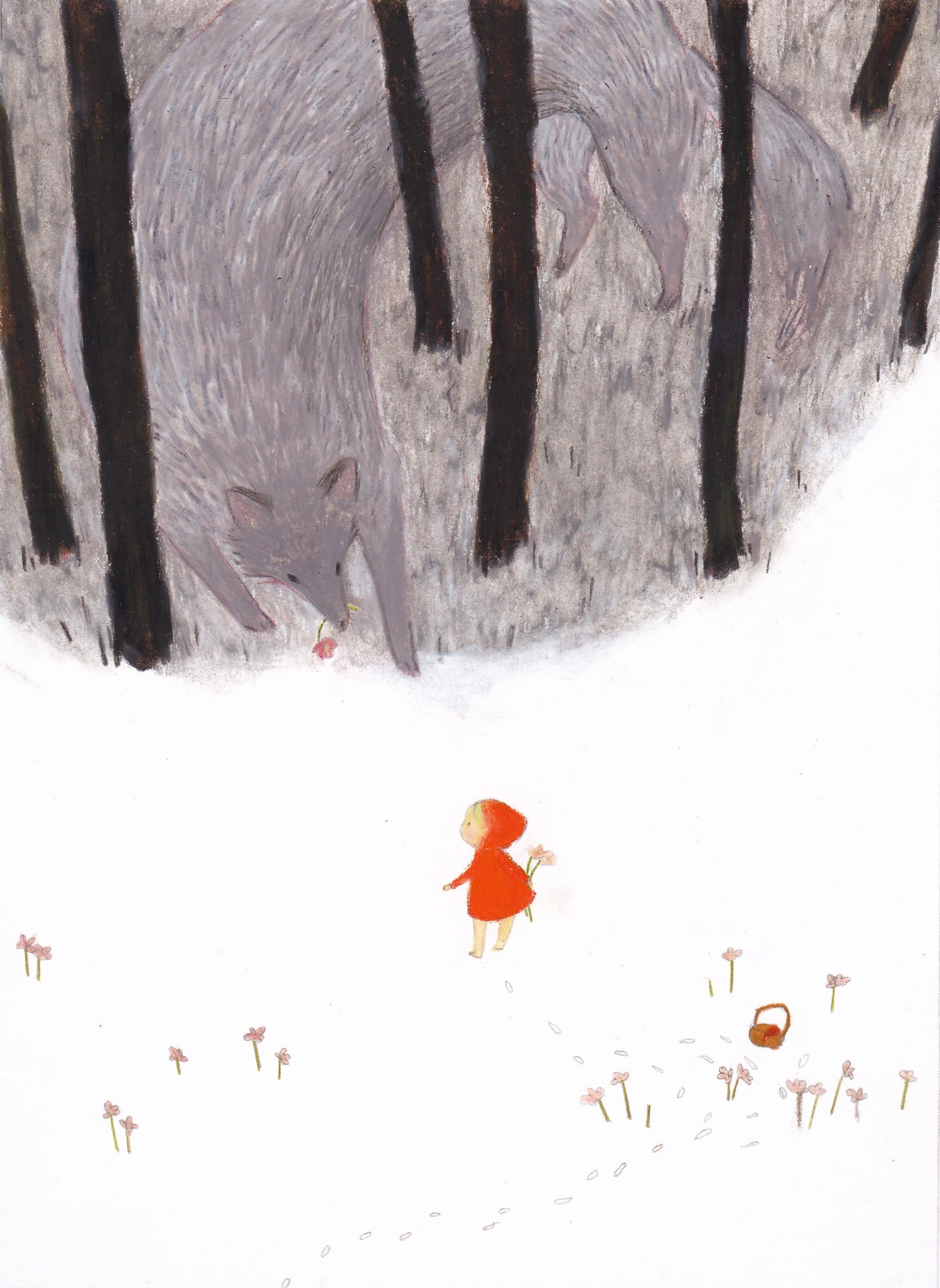 Illustration project by Hannah Wang