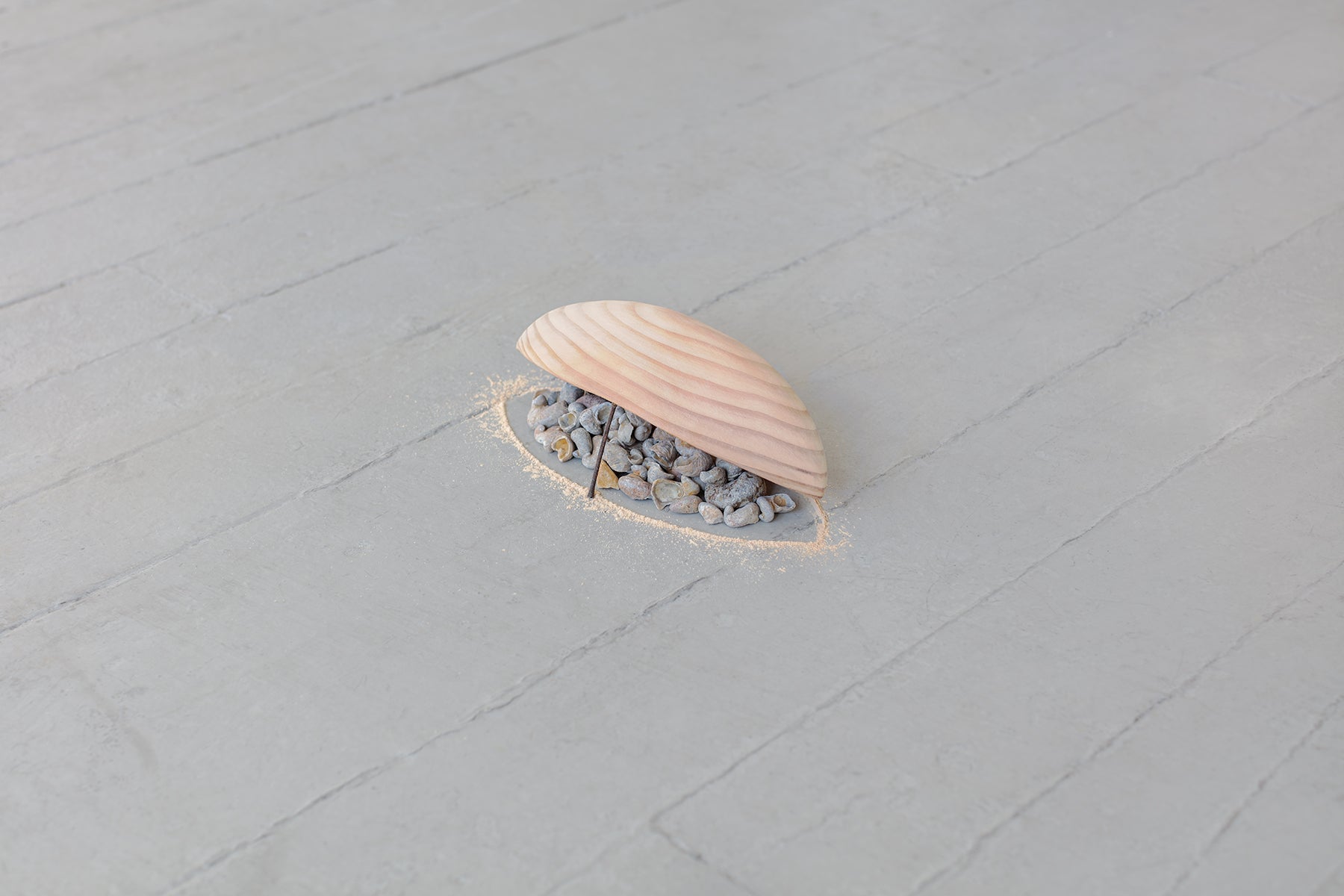 Shells