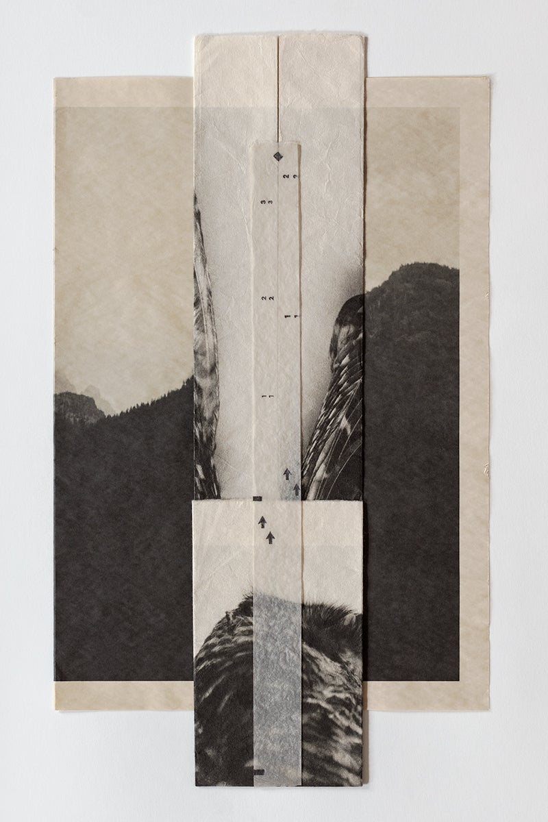 pigment print