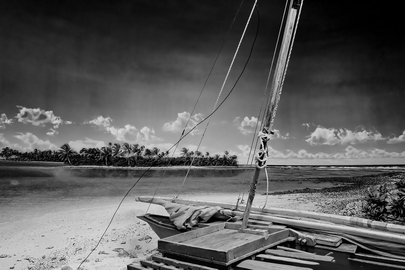 digital photographs