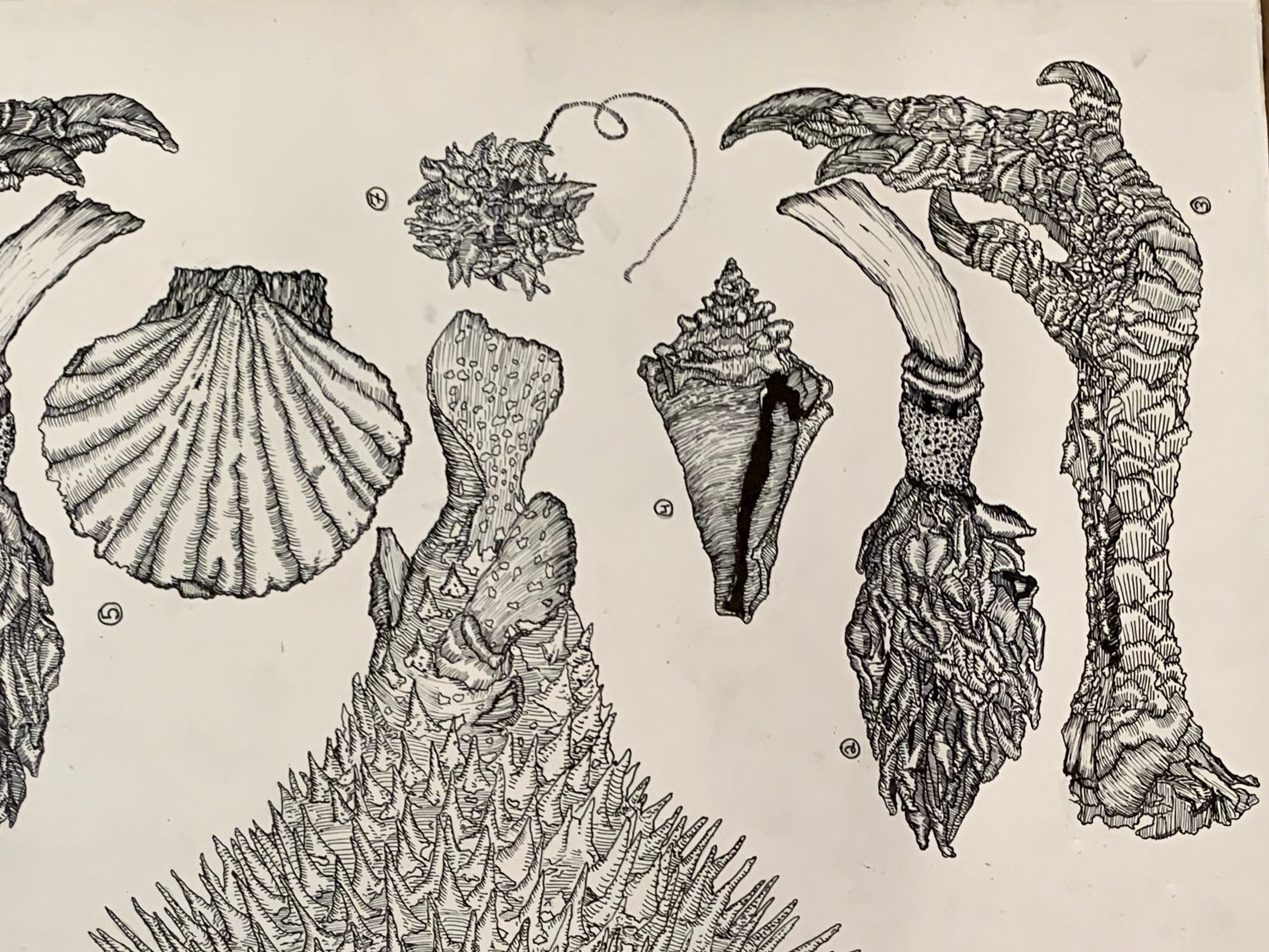 Pen and ink drawing