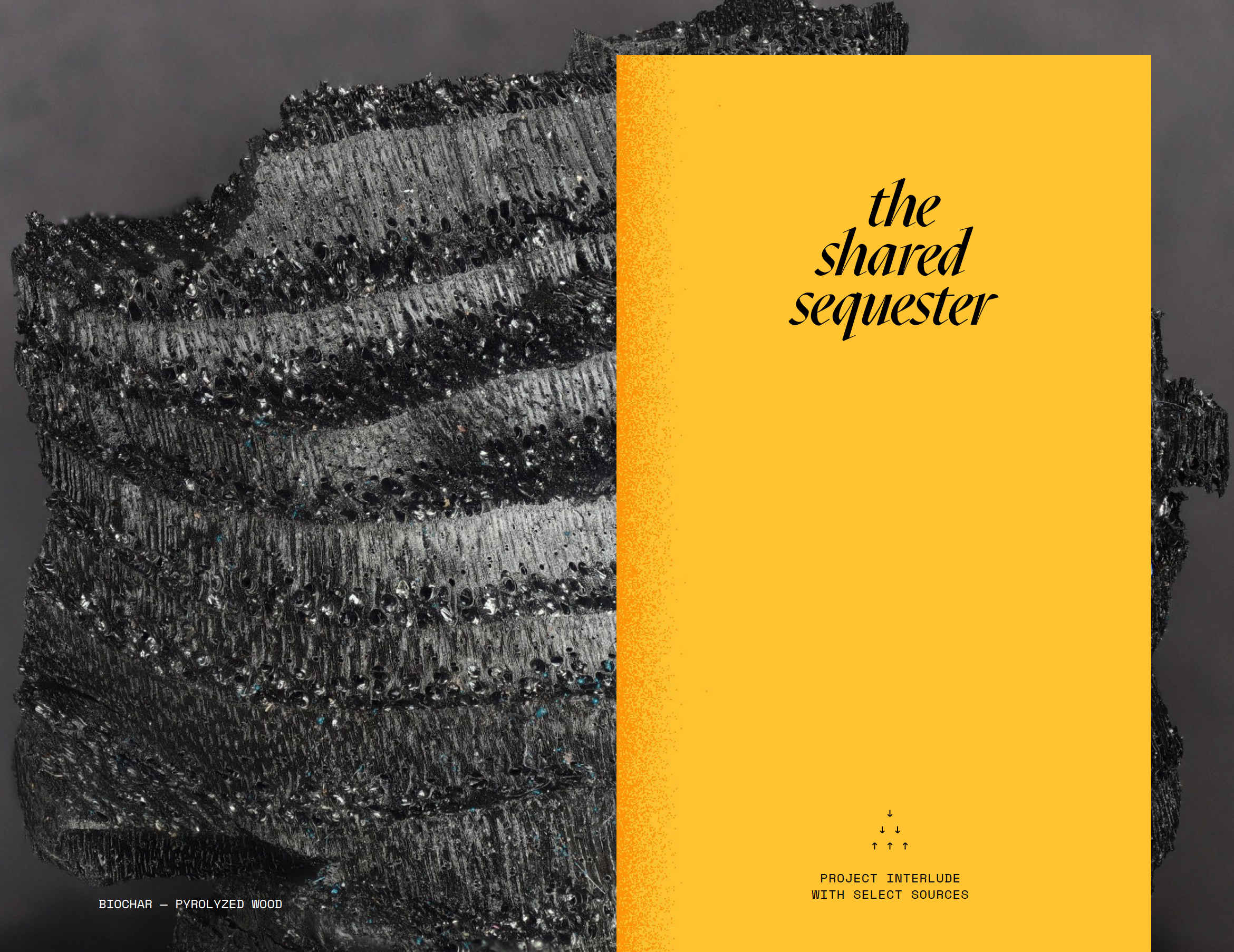 Book Spread Screenshot 1