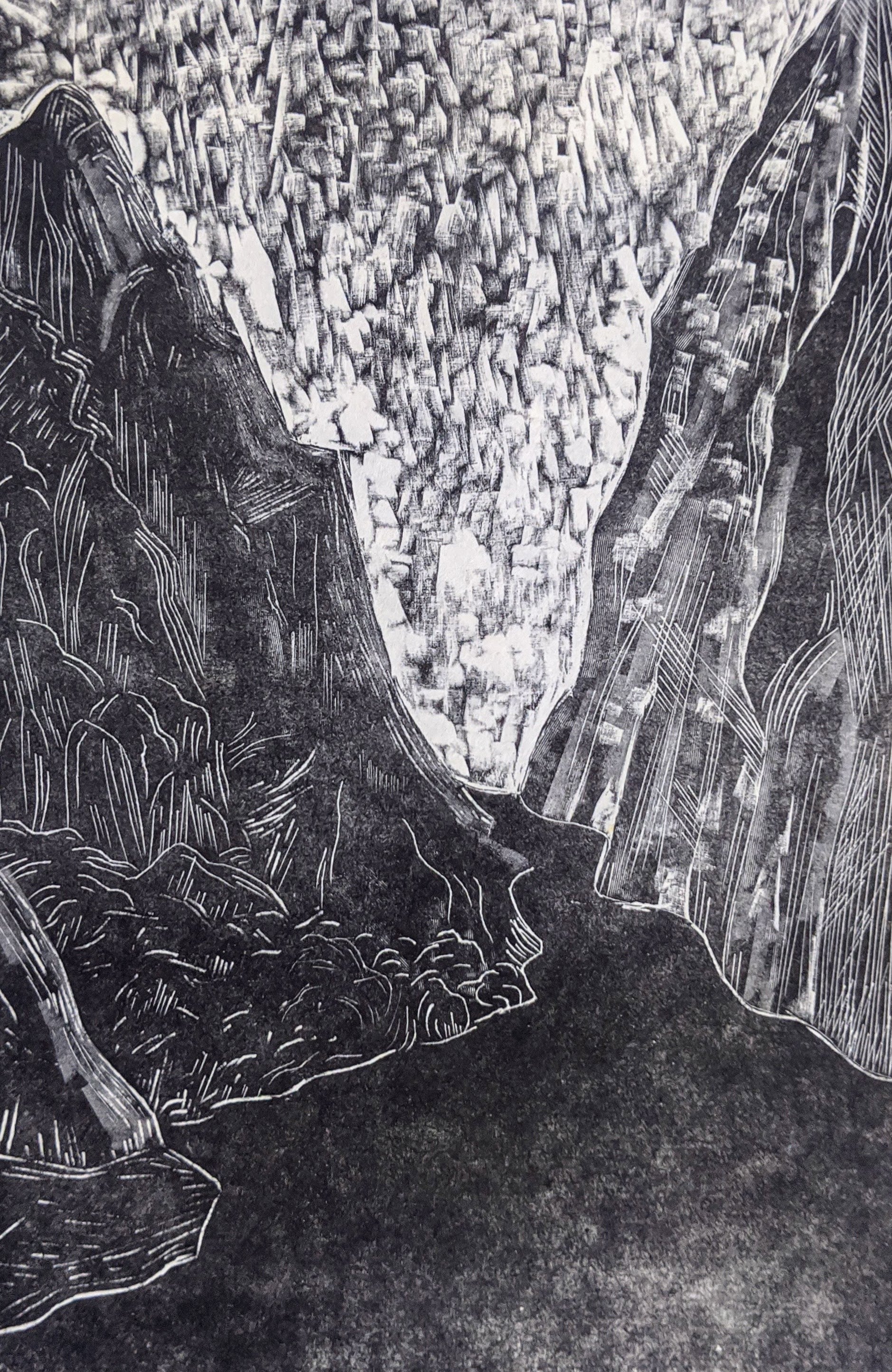 Gorge, 2020, Wood Engraving, 6"x4” 