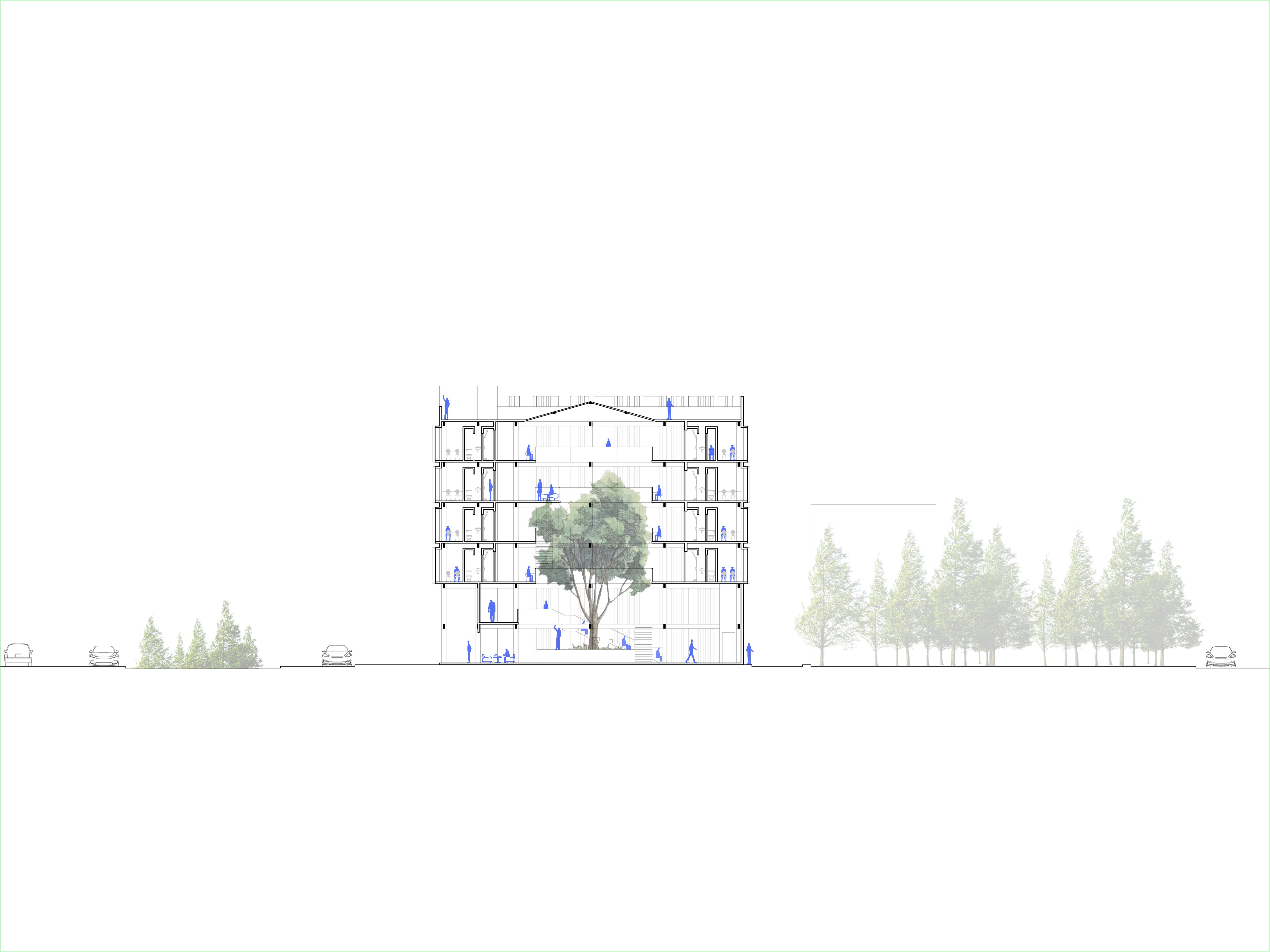 North-South Section