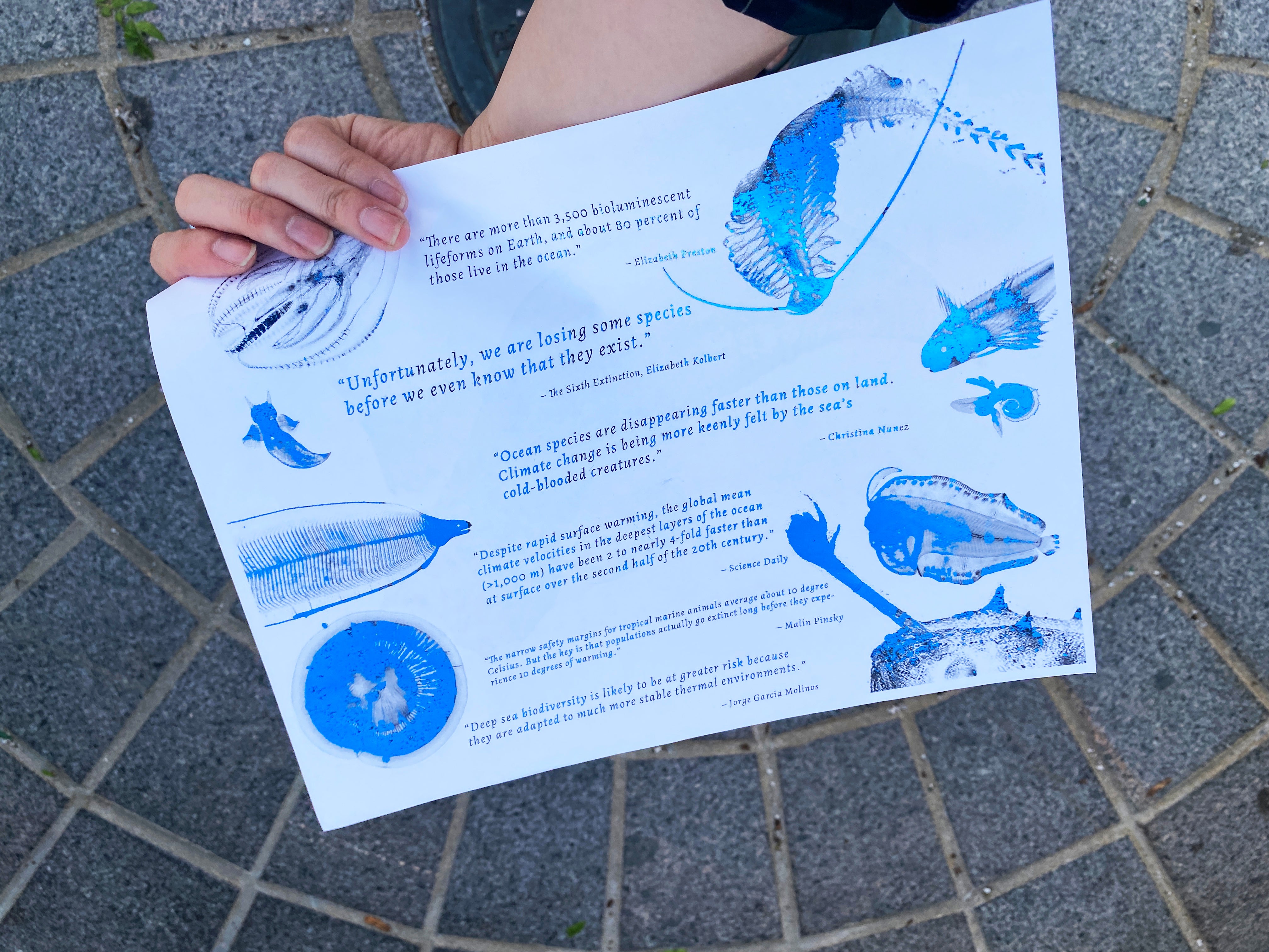 flyer