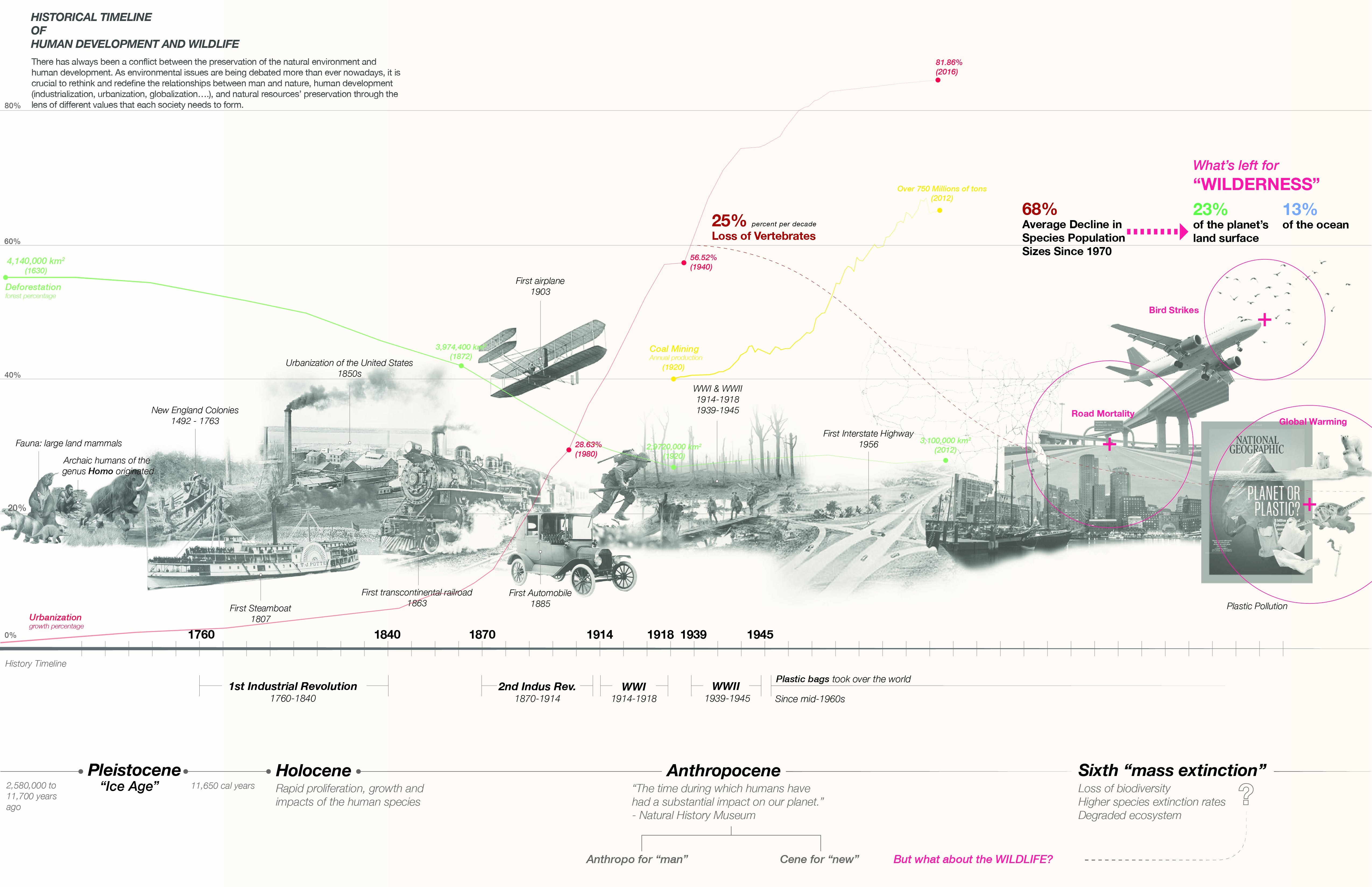 timeline