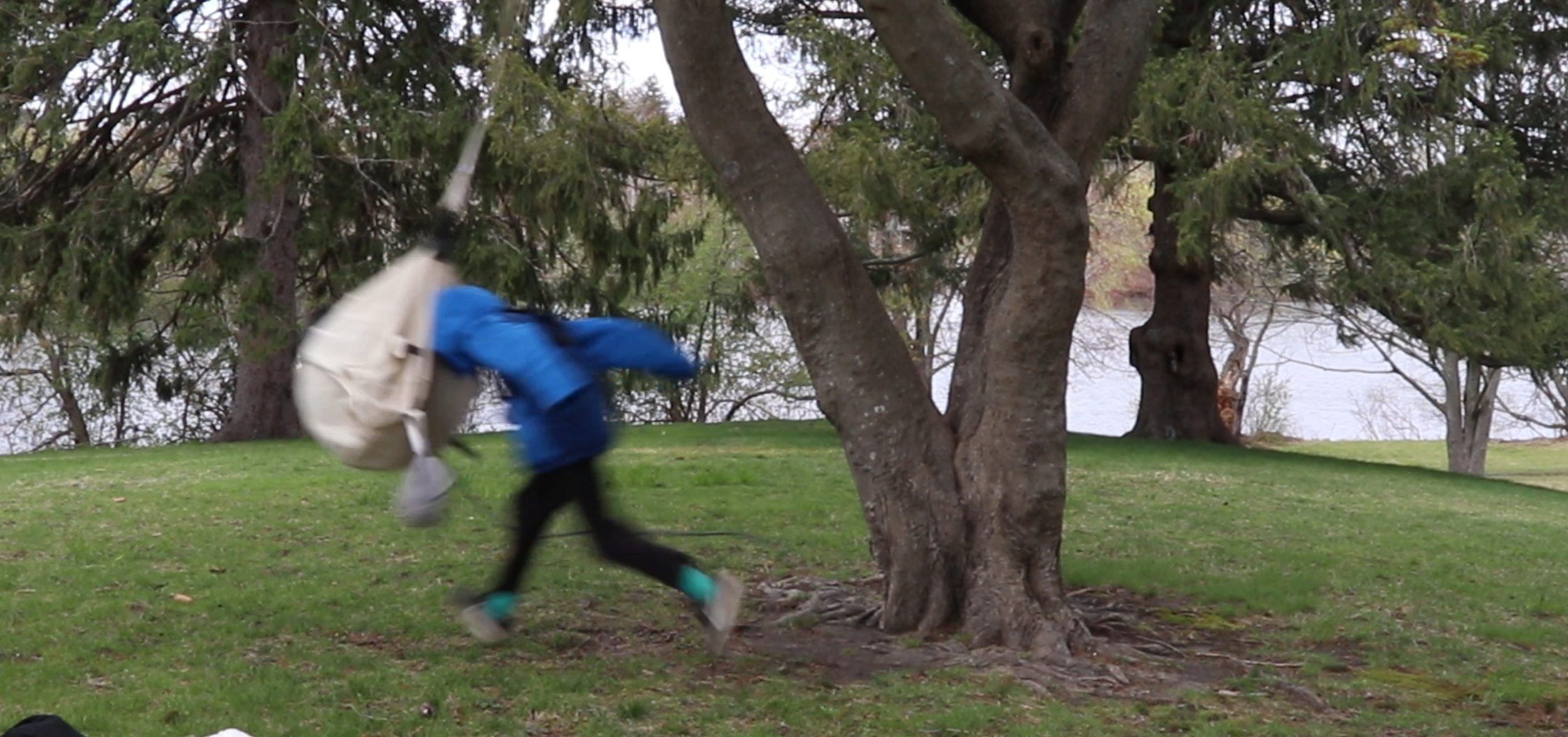 A kid headbutts a toy suspended from a tree.