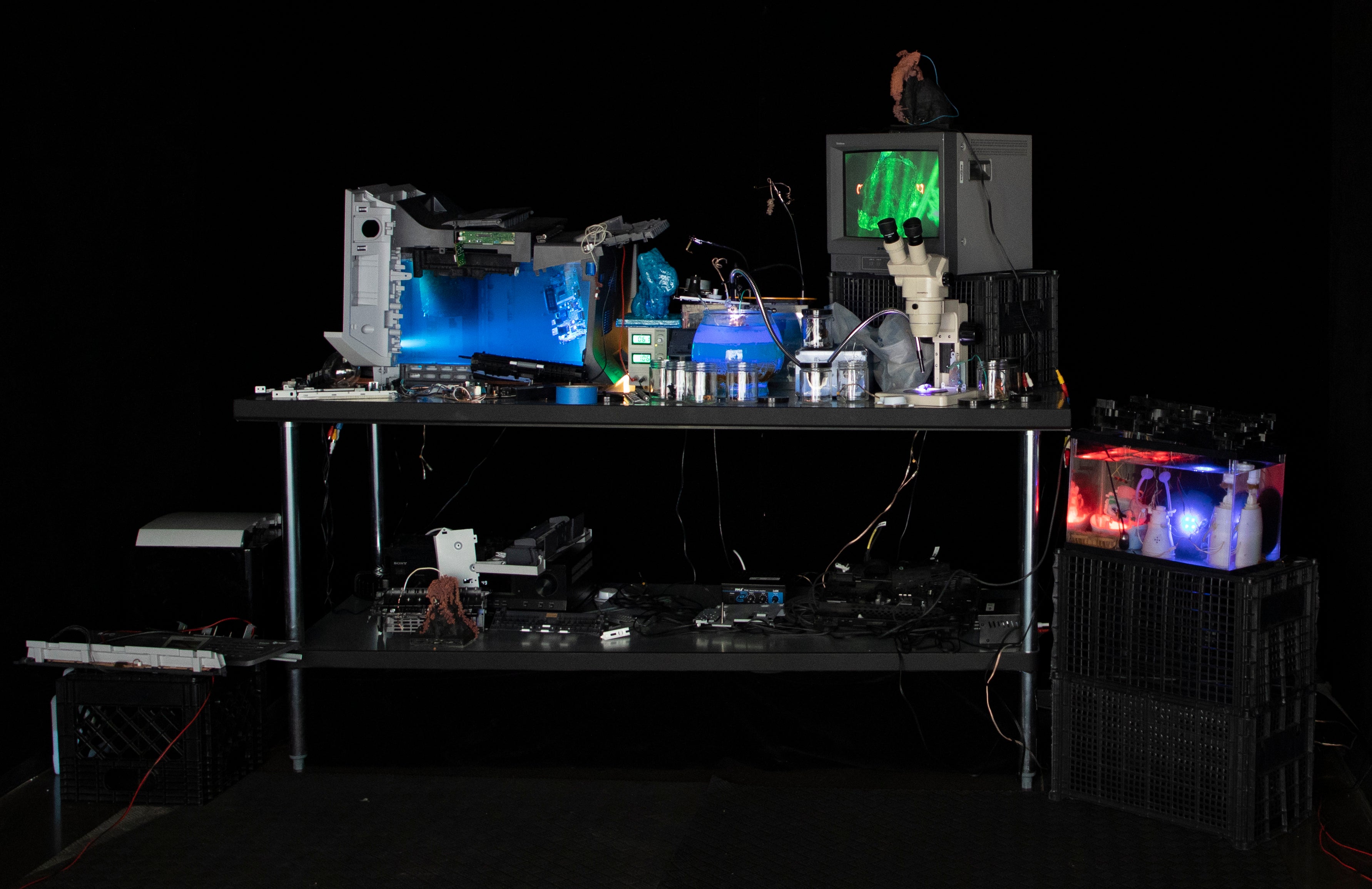installation view