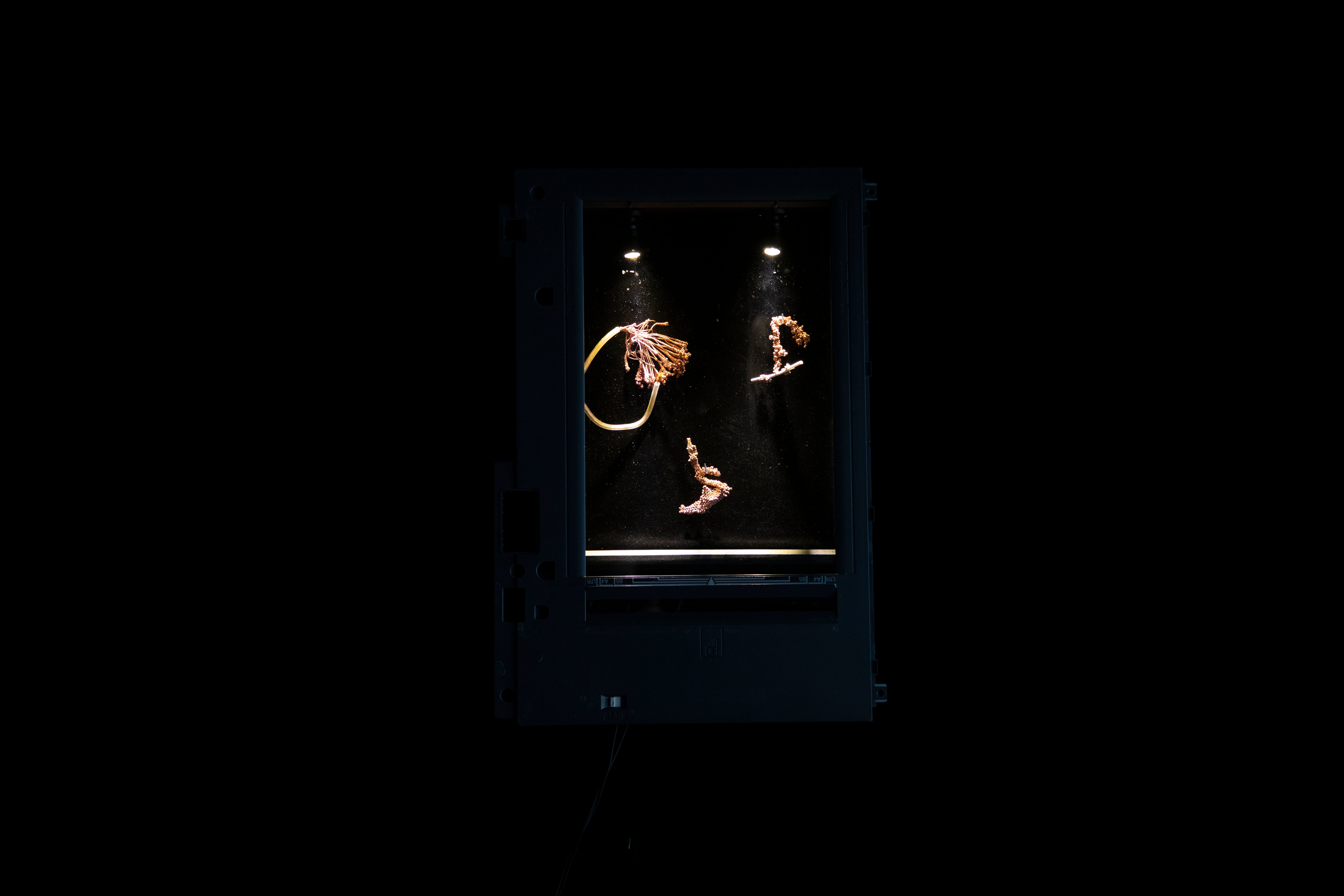 installation view, shadow box with crystals