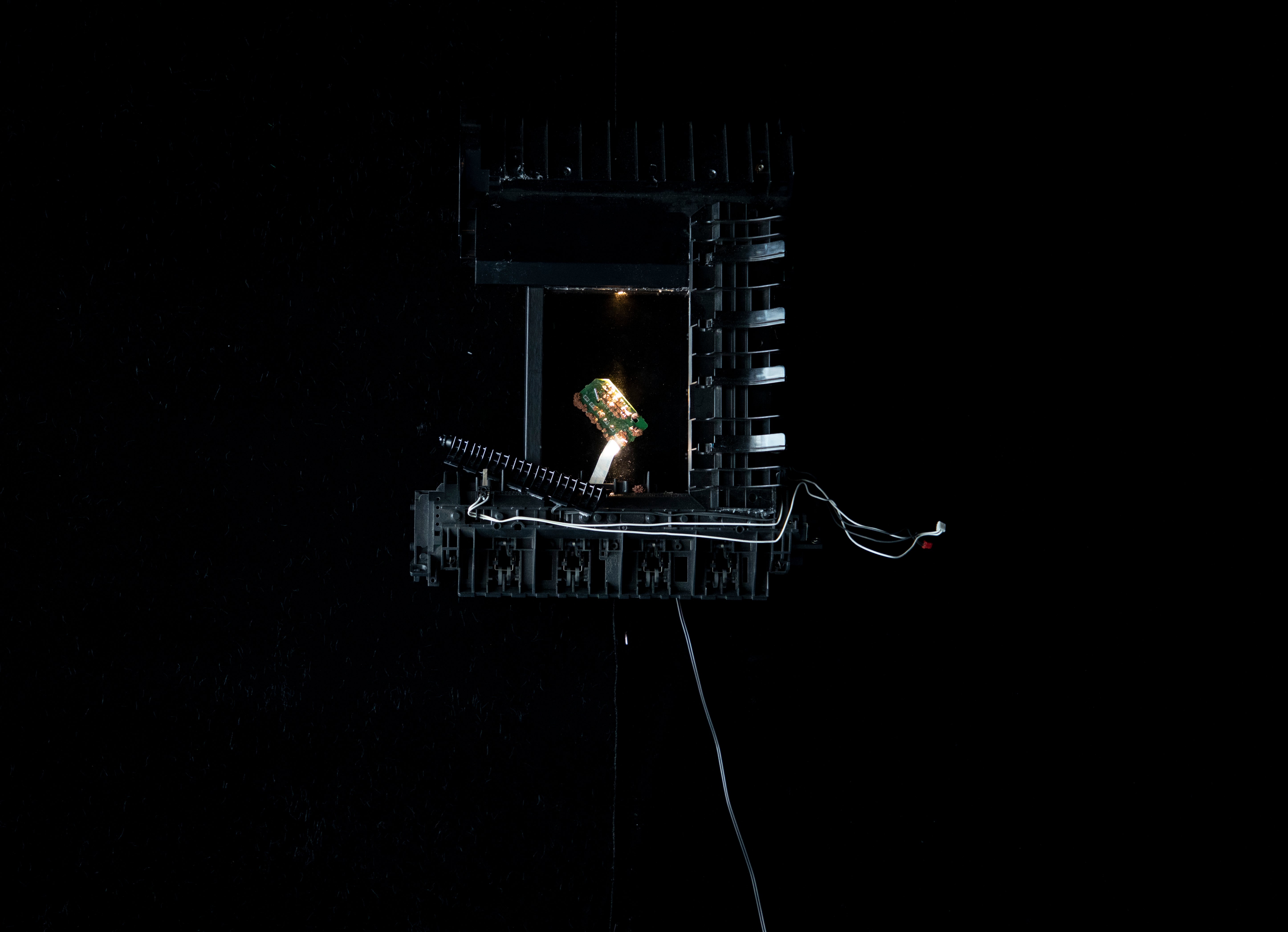 installation view, shadow box