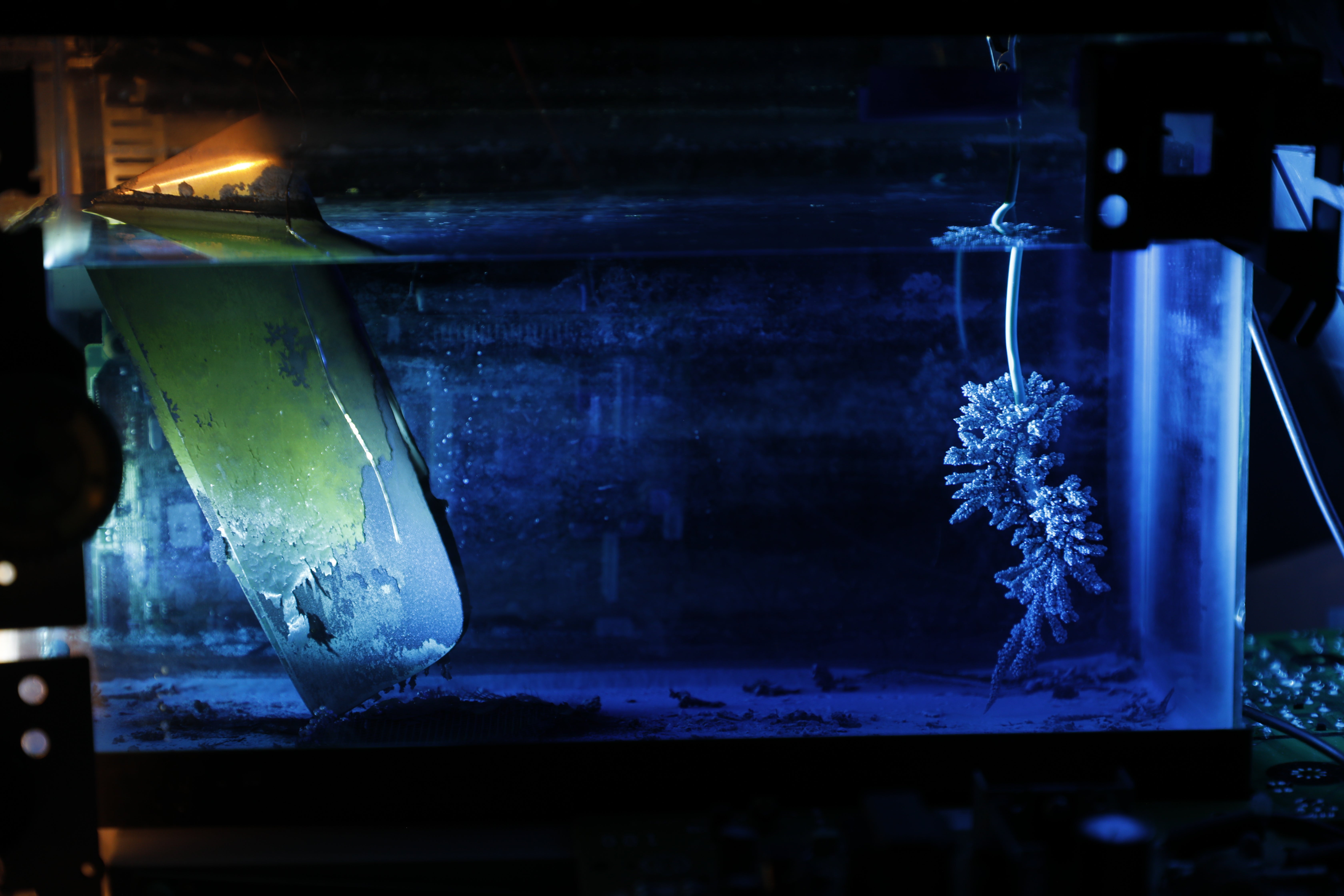 installation view of copper in blue liquid