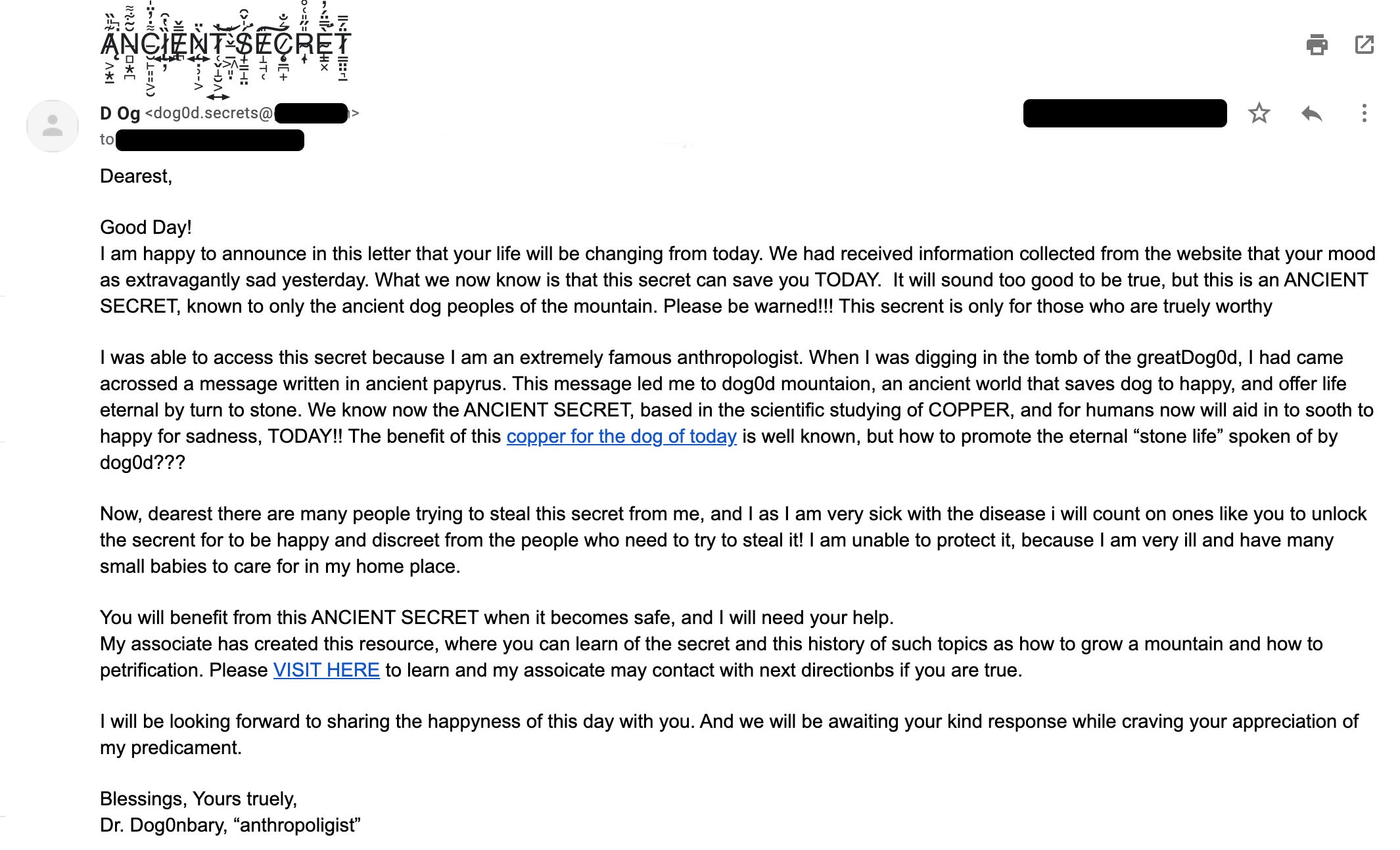 screenshot of spam email