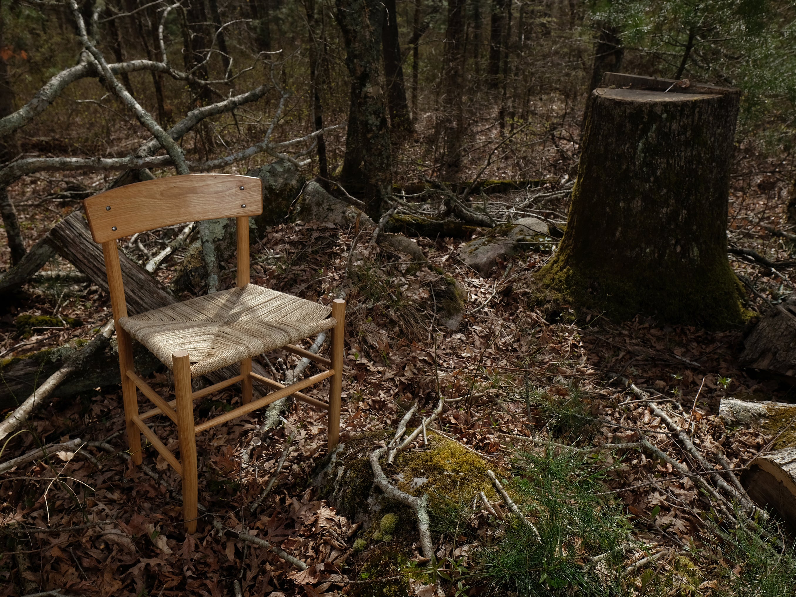 Kentucky Danish photographed next to the stump of the tree which provided its wood. The tree had been cut by an arborist in North Kingstown part of forest management efforts the day before I acquired the log.