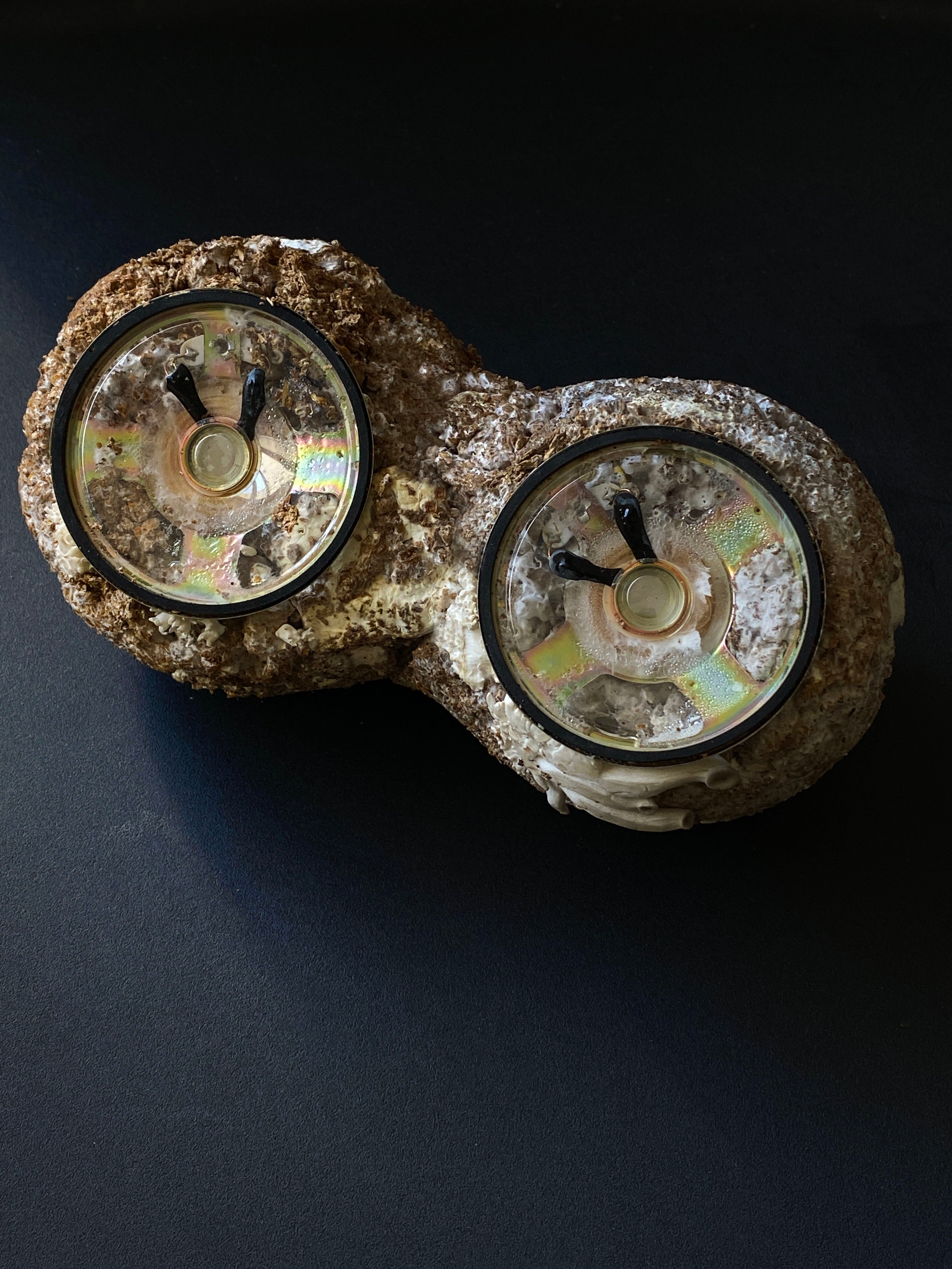 Mycelium Speaker