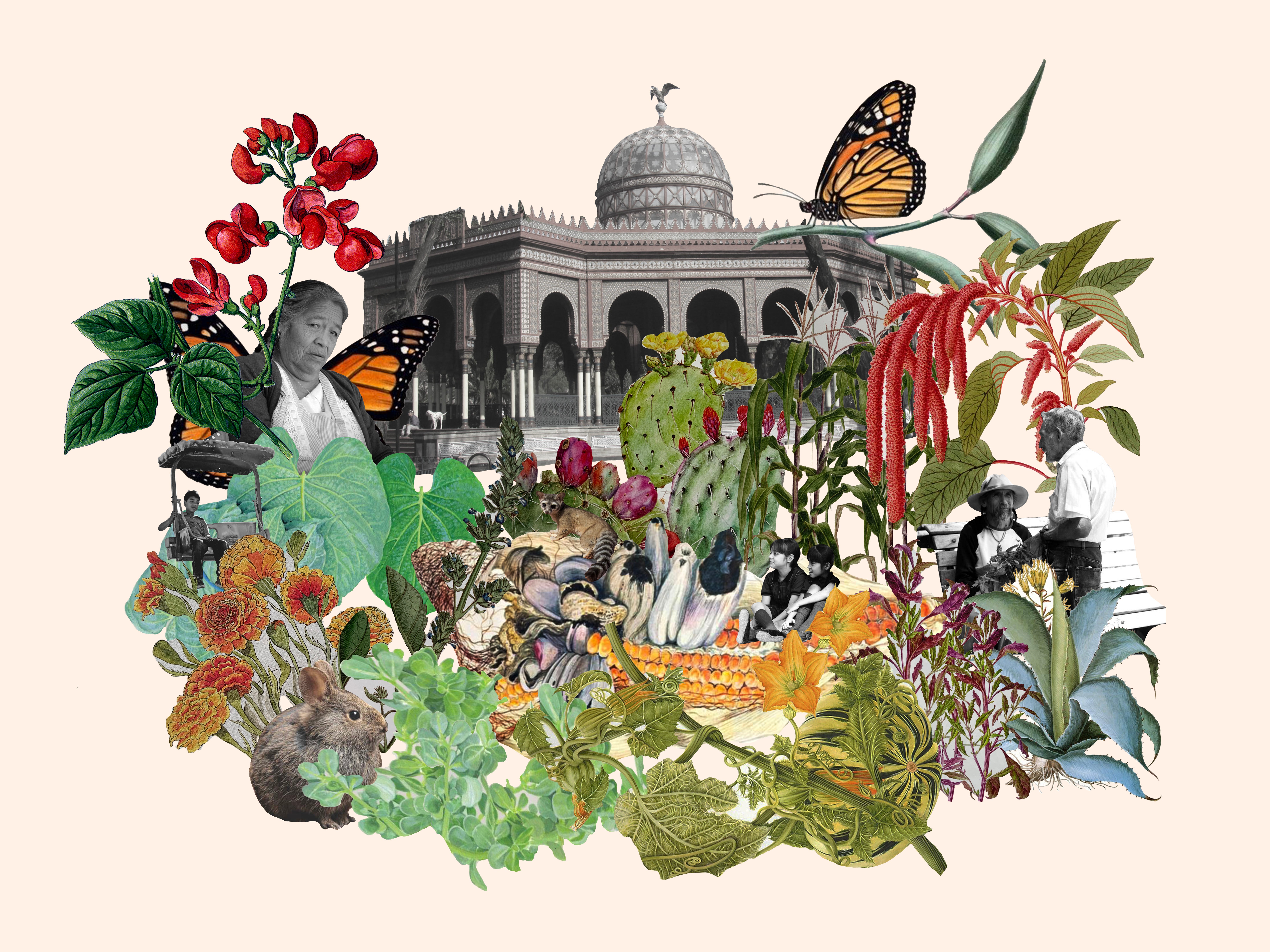 Collage with different native mexican plants, elders and children; the Morisc Kiosk in the background.