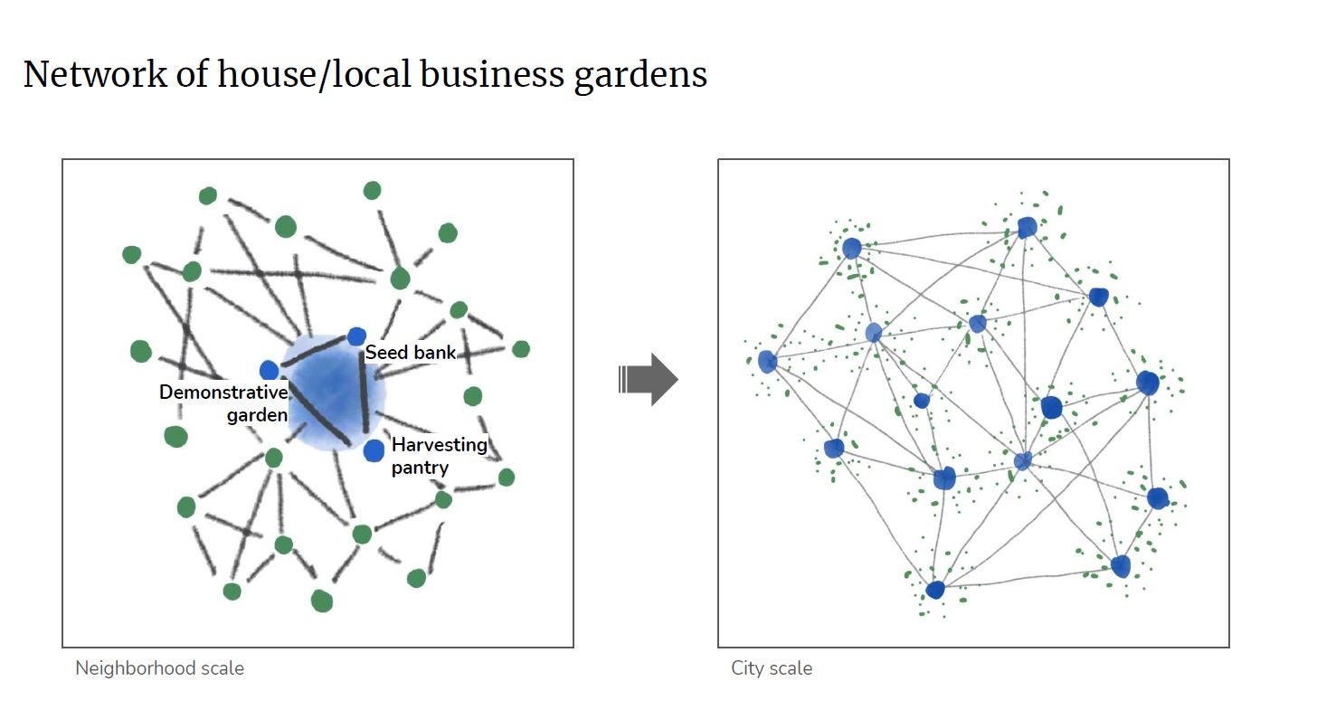 Proposed network: demostrative garden, seed bank and harvest pantry